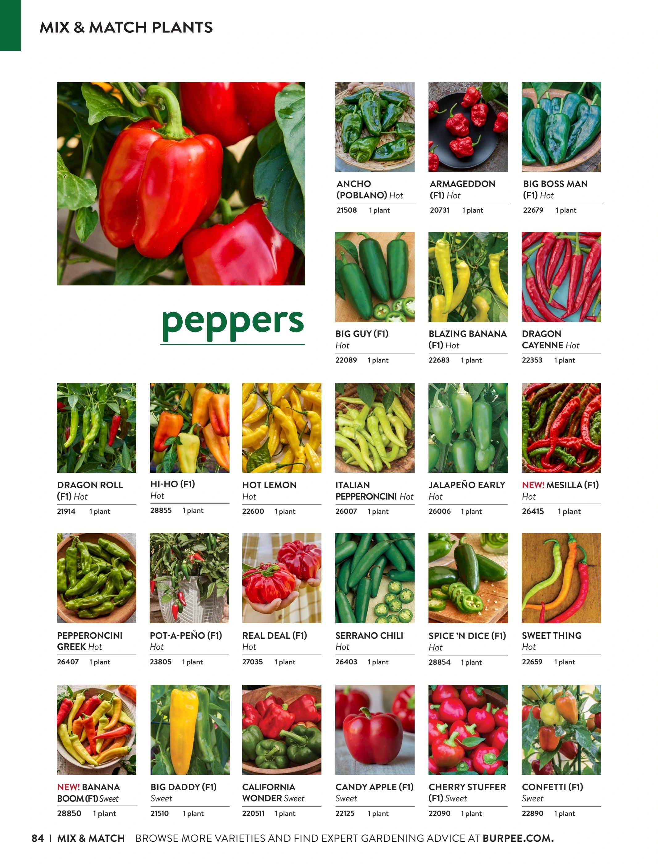 Burpee Annual Seed Catalog Weekly Ad January 1 - December 31, 2026