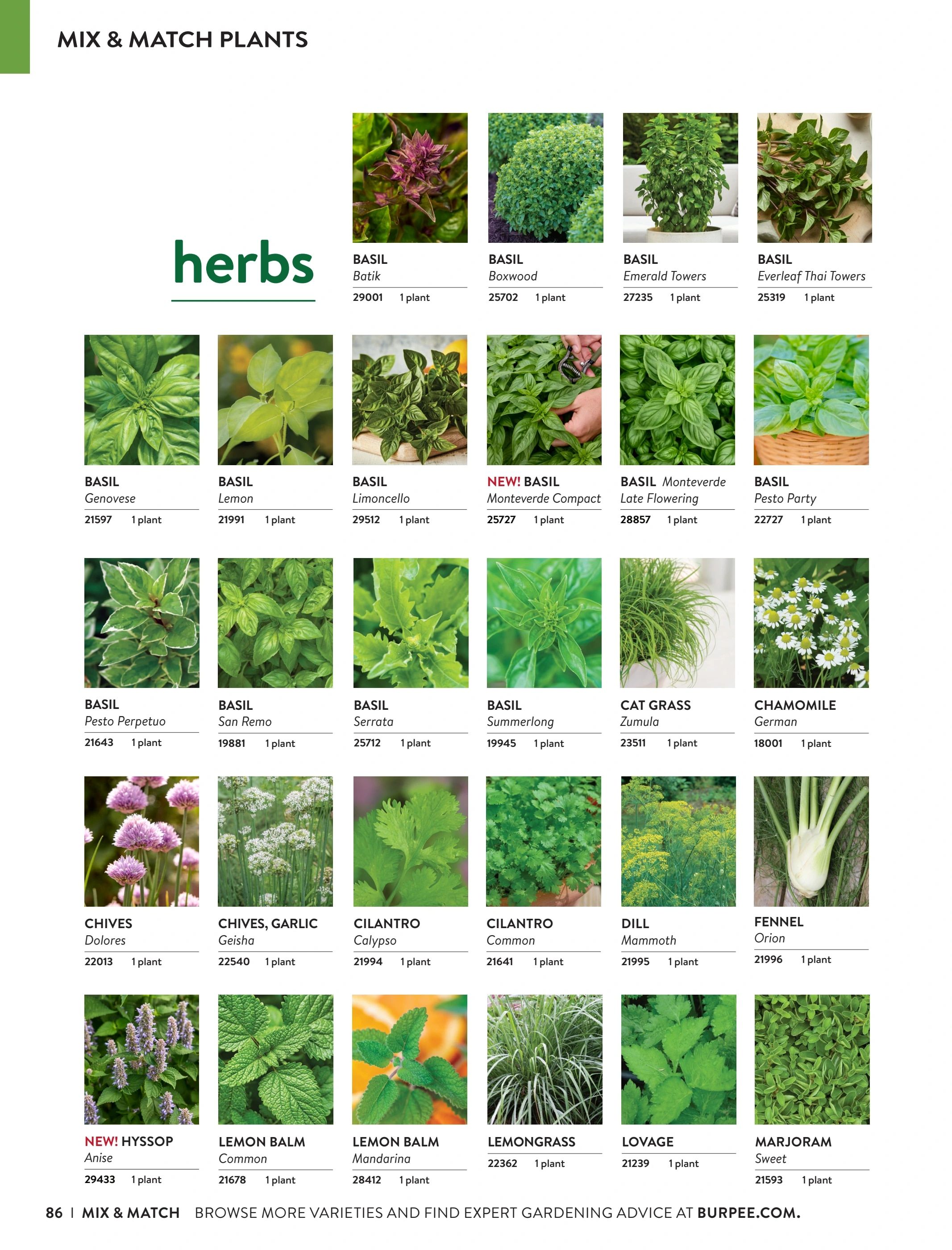 Burpee Annual Seed Catalog Weekly Ad January 1 - December 31, 2026