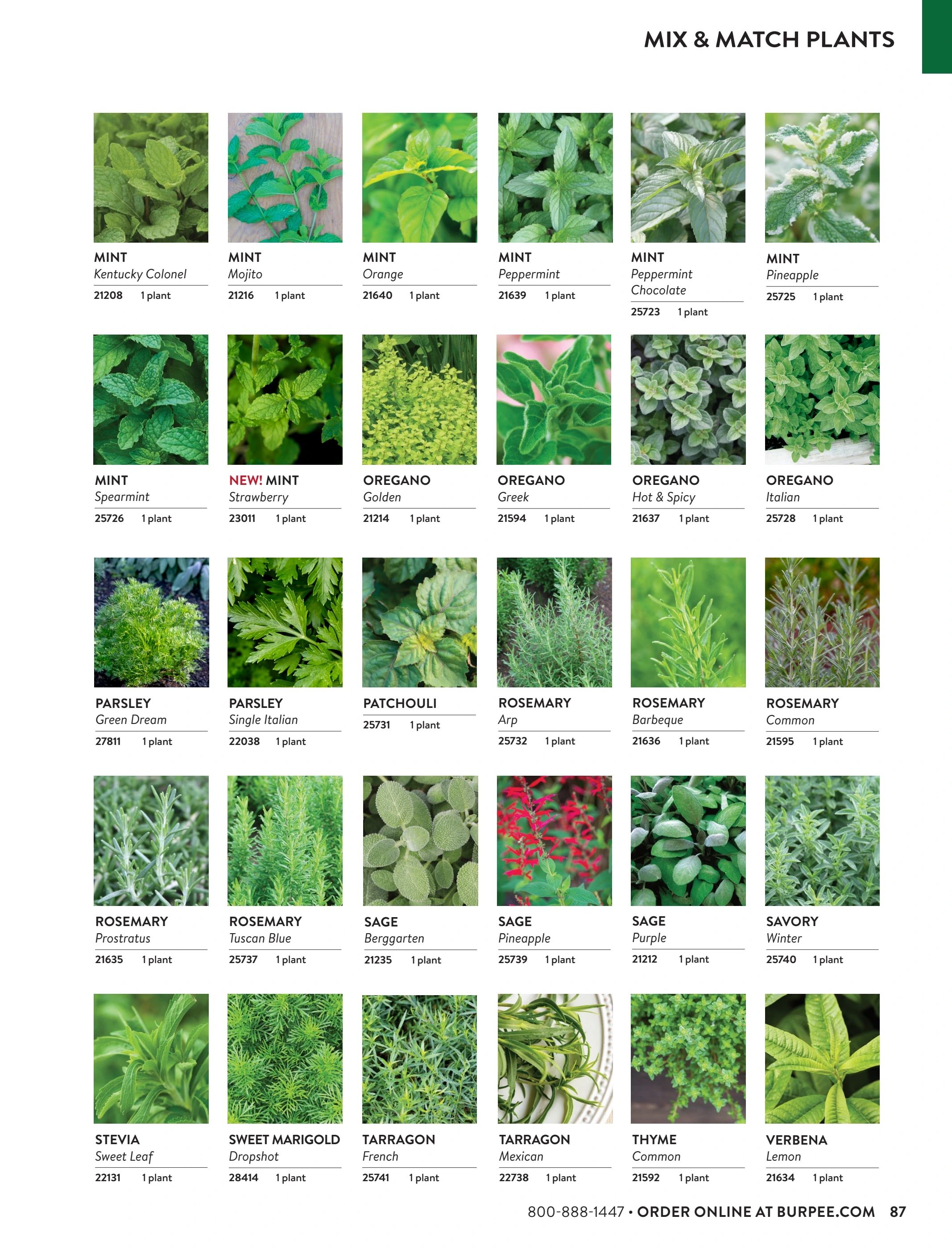 Burpee Annual Seed Catalog Weekly Ad January 1 - December 31, 2026