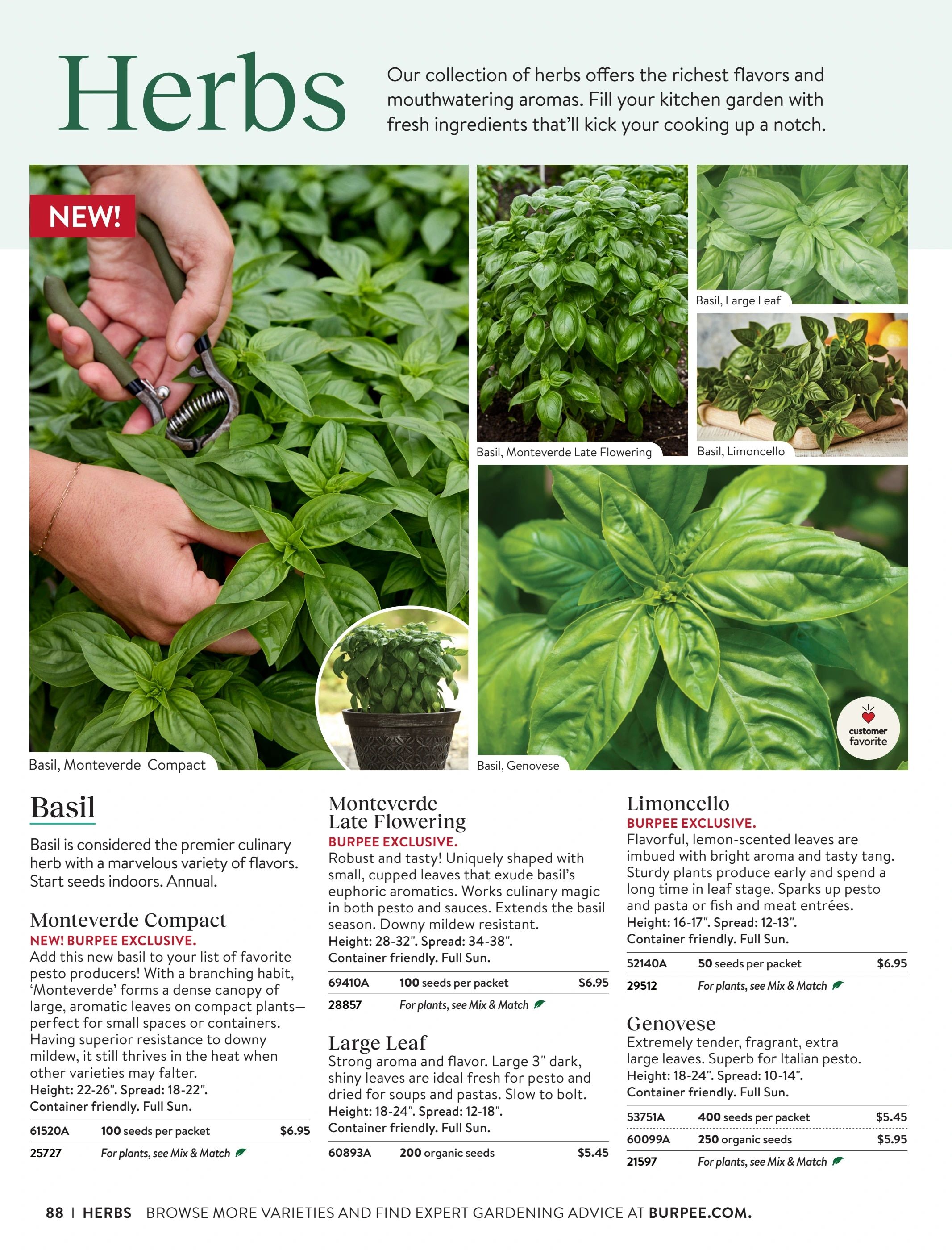 Burpee Annual Seed Catalog Weekly Ad January 1 - December 31, 2026