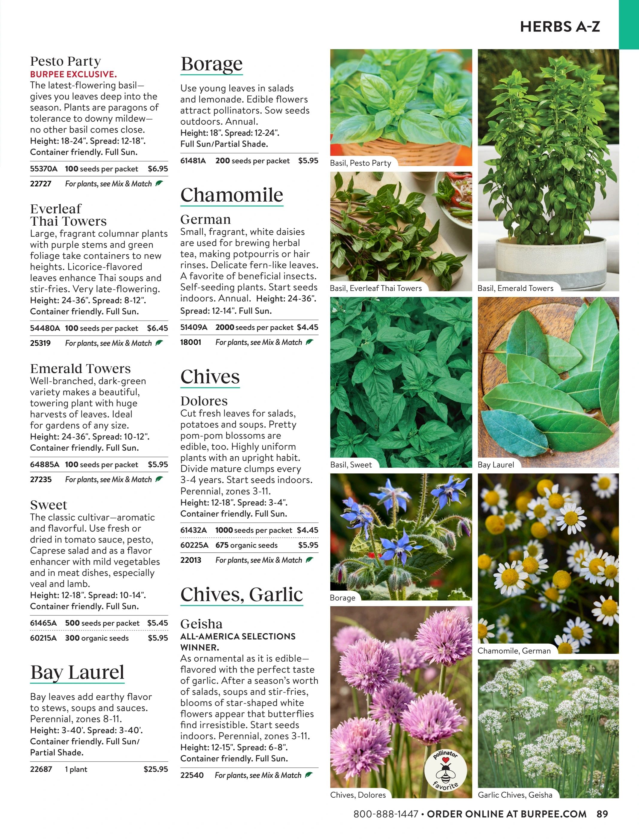 Burpee Annual Seed Catalog Weekly Ad January 1 - December 31, 2026