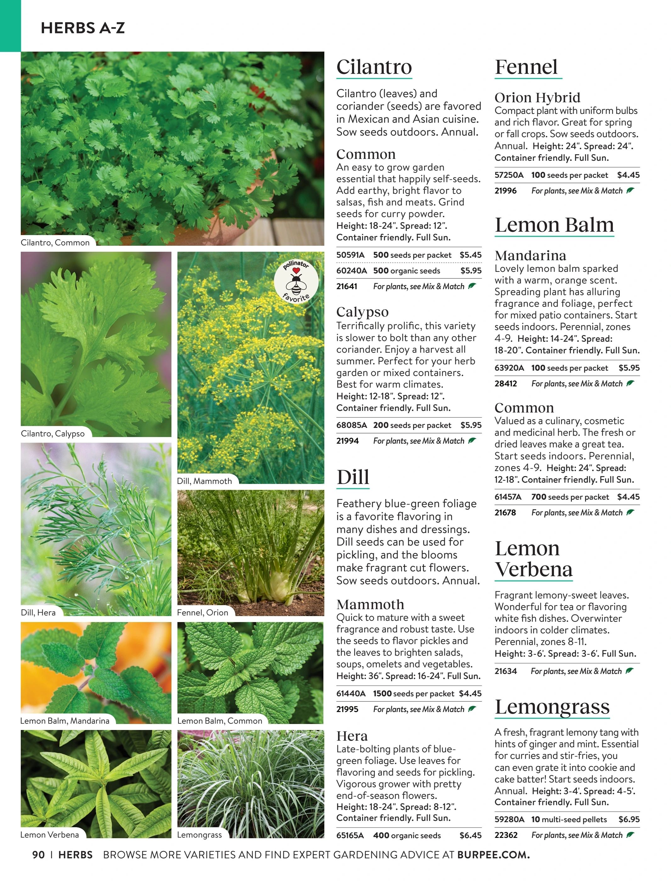 Burpee Annual Seed Catalog Weekly Ad January 1 - December 31, 2026