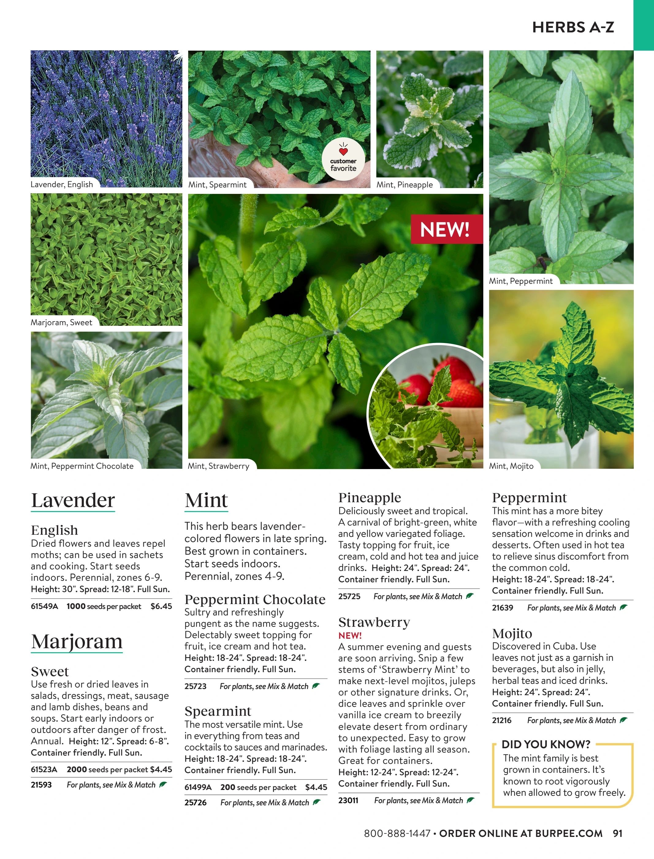 Burpee Annual Seed Catalog Weekly Ad January 1 - December 31, 2026