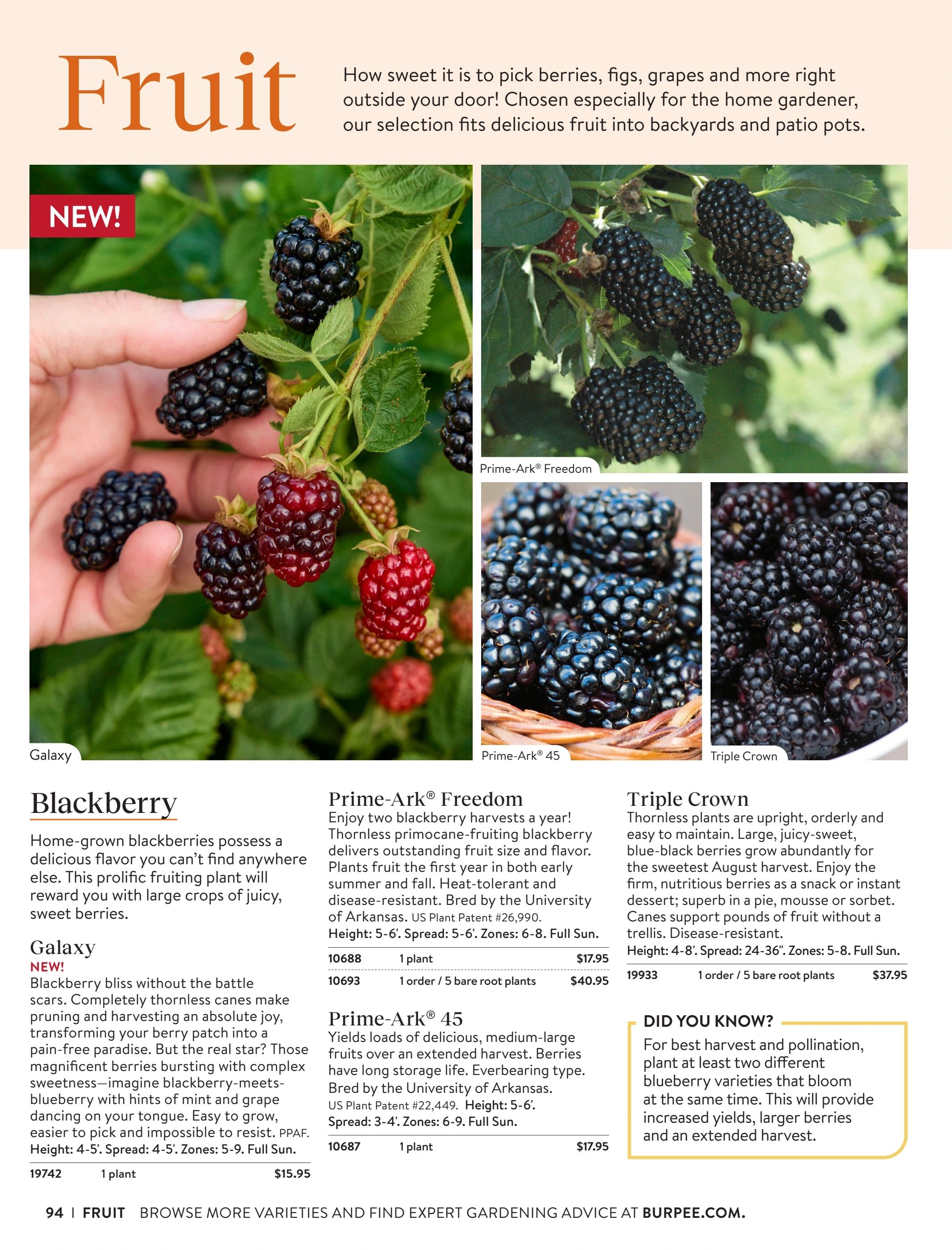 Burpee Annual Seed Catalog Weekly Ad January 1 - December 31, 2026