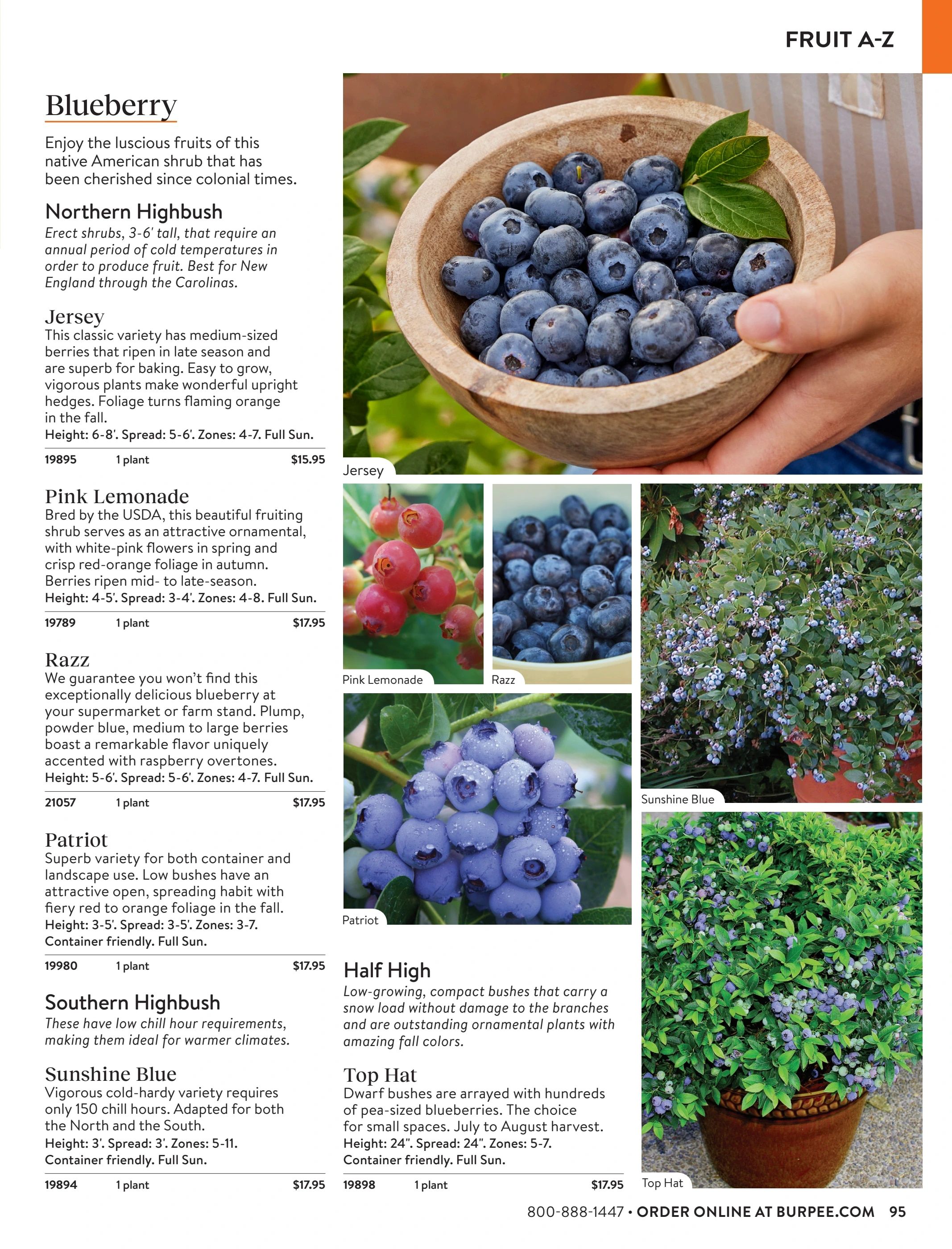 Burpee Annual Seed Catalog Weekly Ad January 1 - December 31, 2026