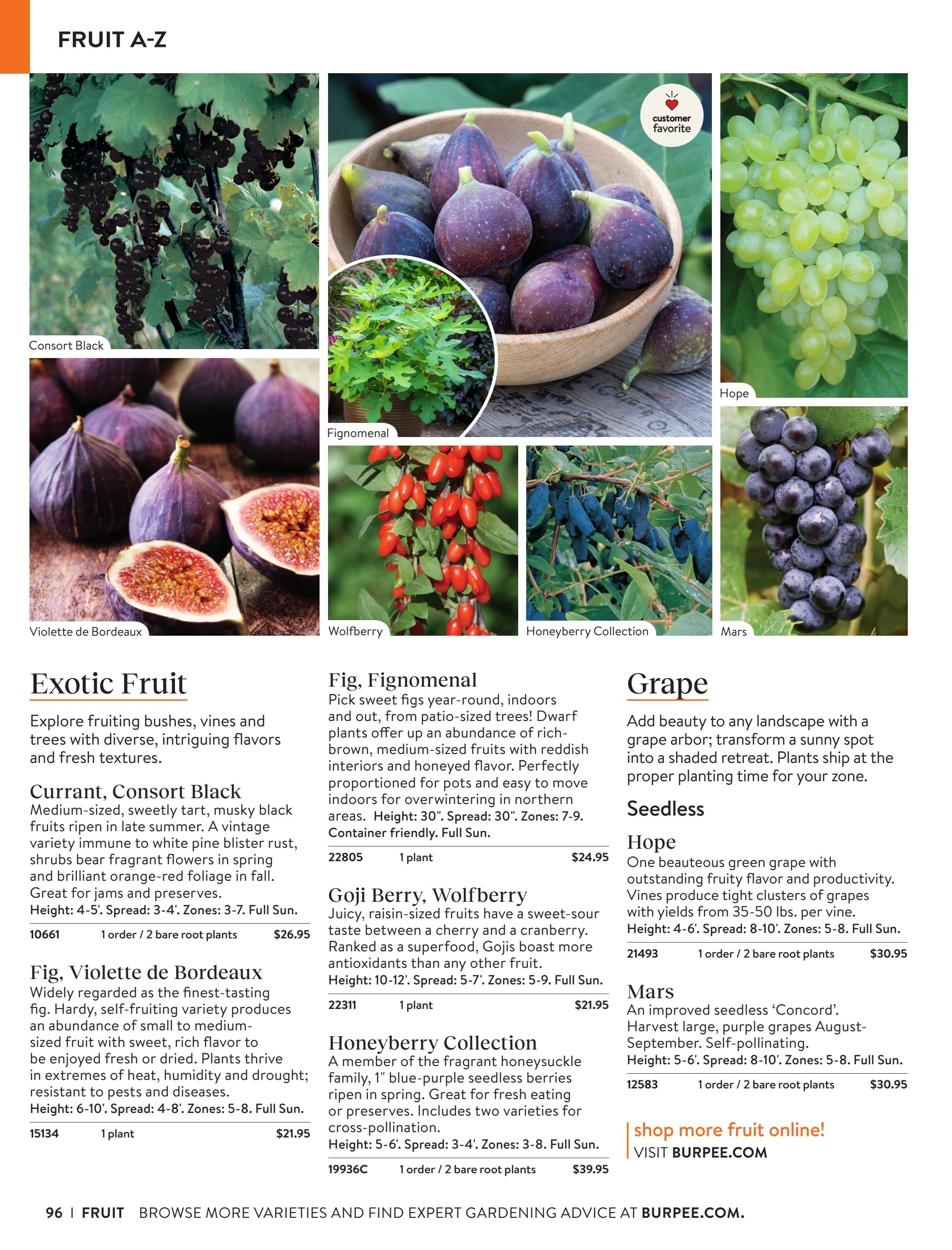 Burpee Annual Seed Catalog Weekly Ad January 1 - December 31, 2026