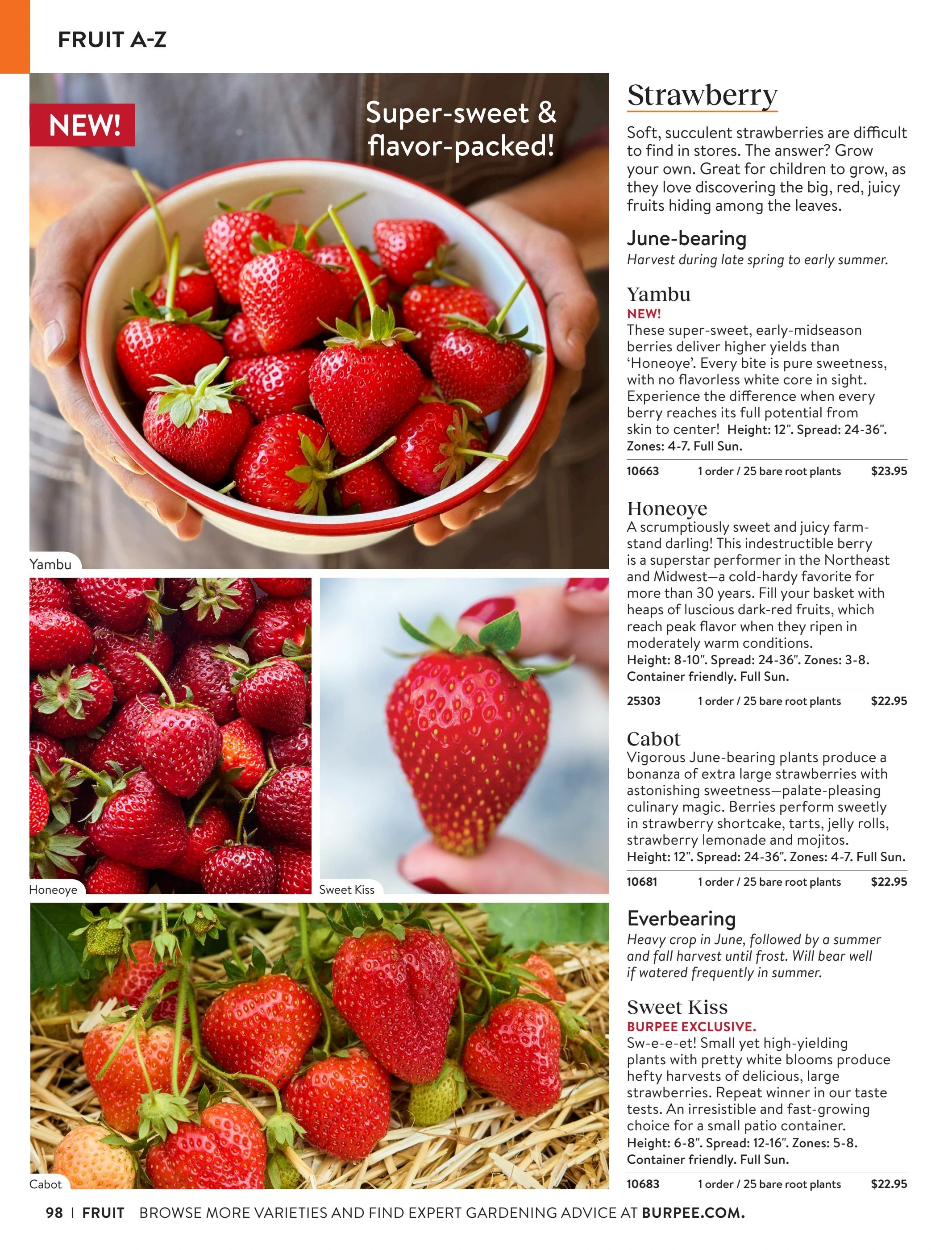 Burpee Annual Seed Catalog Weekly Ad January 1 - December 31, 2026