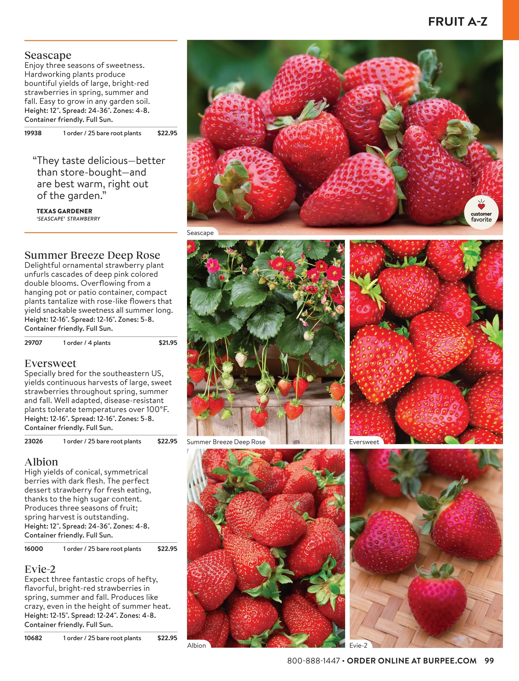 Burpee Annual Seed Catalog Weekly Ad January 1 - December 31, 2026