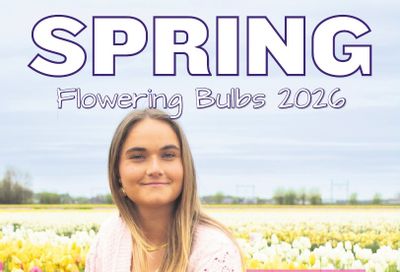 A.D.R. Bulbs Spring Wholesale Bulb Catalog Weekly Ad January 1 - December 31, 2026