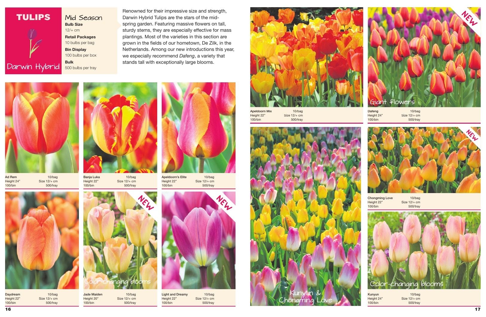A.D.R. Bulbs Spring Wholesale Bulb Catalog Weekly Ad January 1 - December 31, 2026
