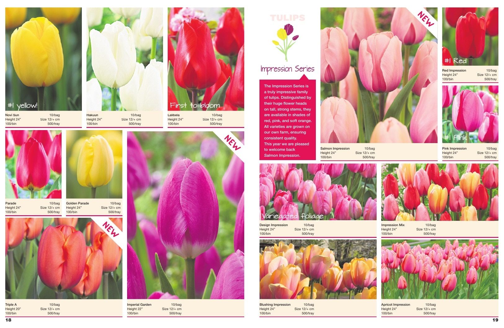 A.D.R. Bulbs Spring Wholesale Bulb Catalog Weekly Ad January 1 - December 31, 2026