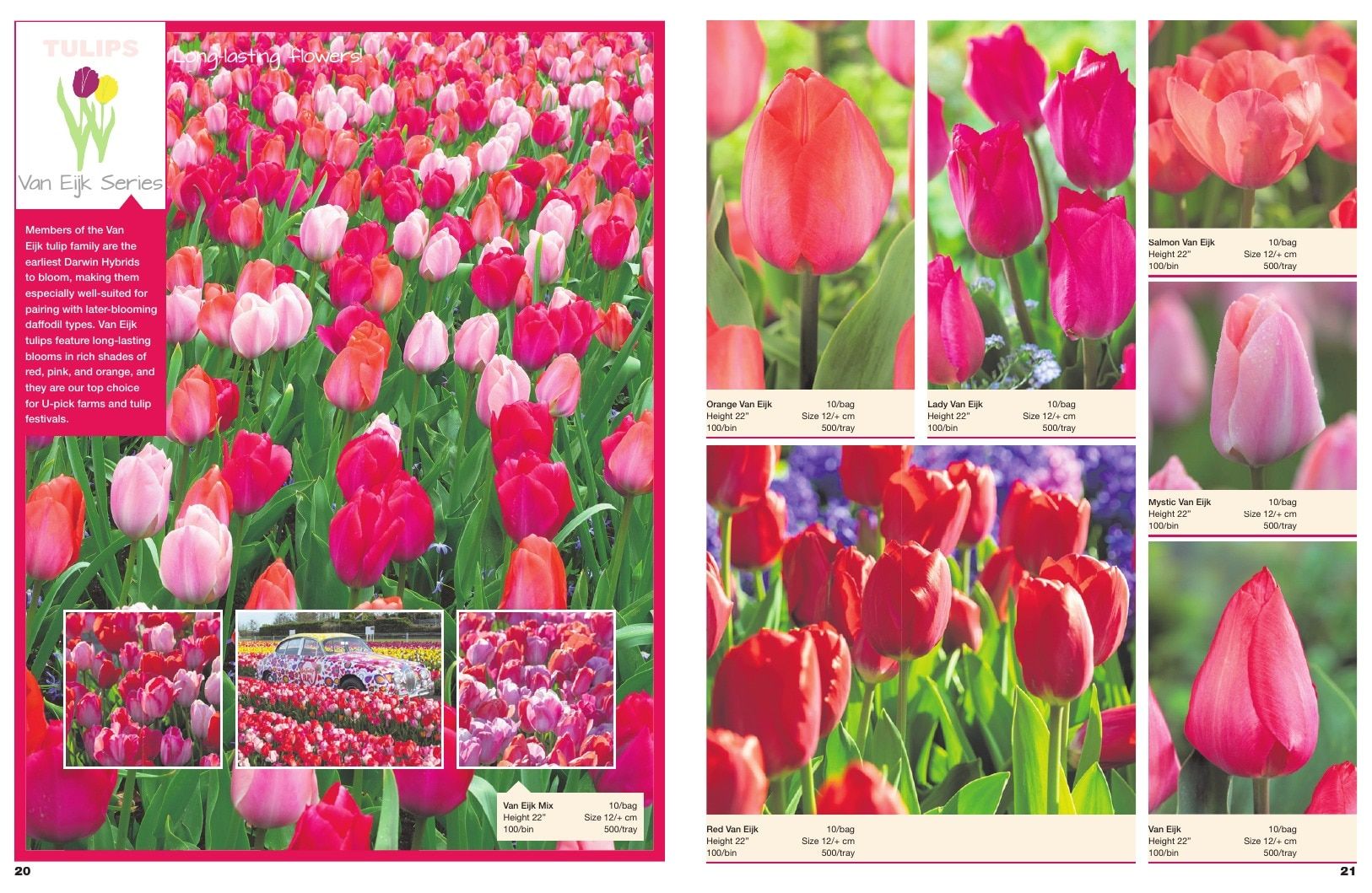 A.D.R. Bulbs Spring Wholesale Bulb Catalog Weekly Ad January 1 - December 31, 2026