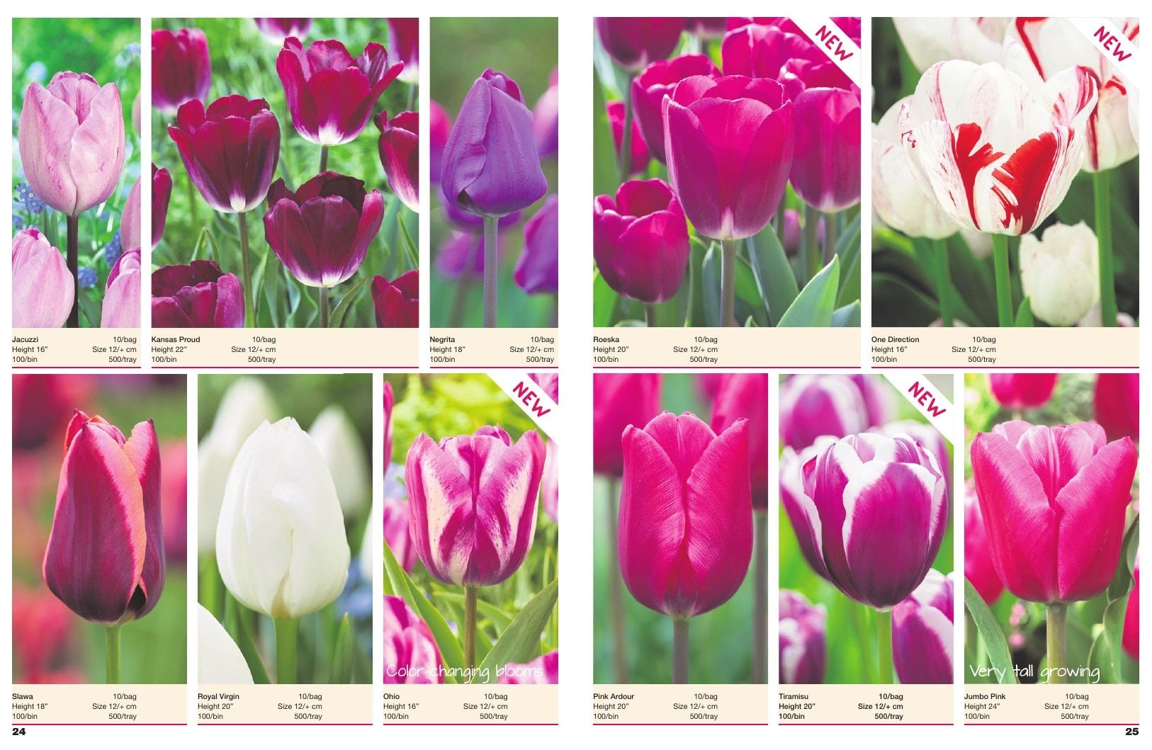 A.D.R. Bulbs Spring Wholesale Bulb Catalog Weekly Ad January 1 - December 31, 2026