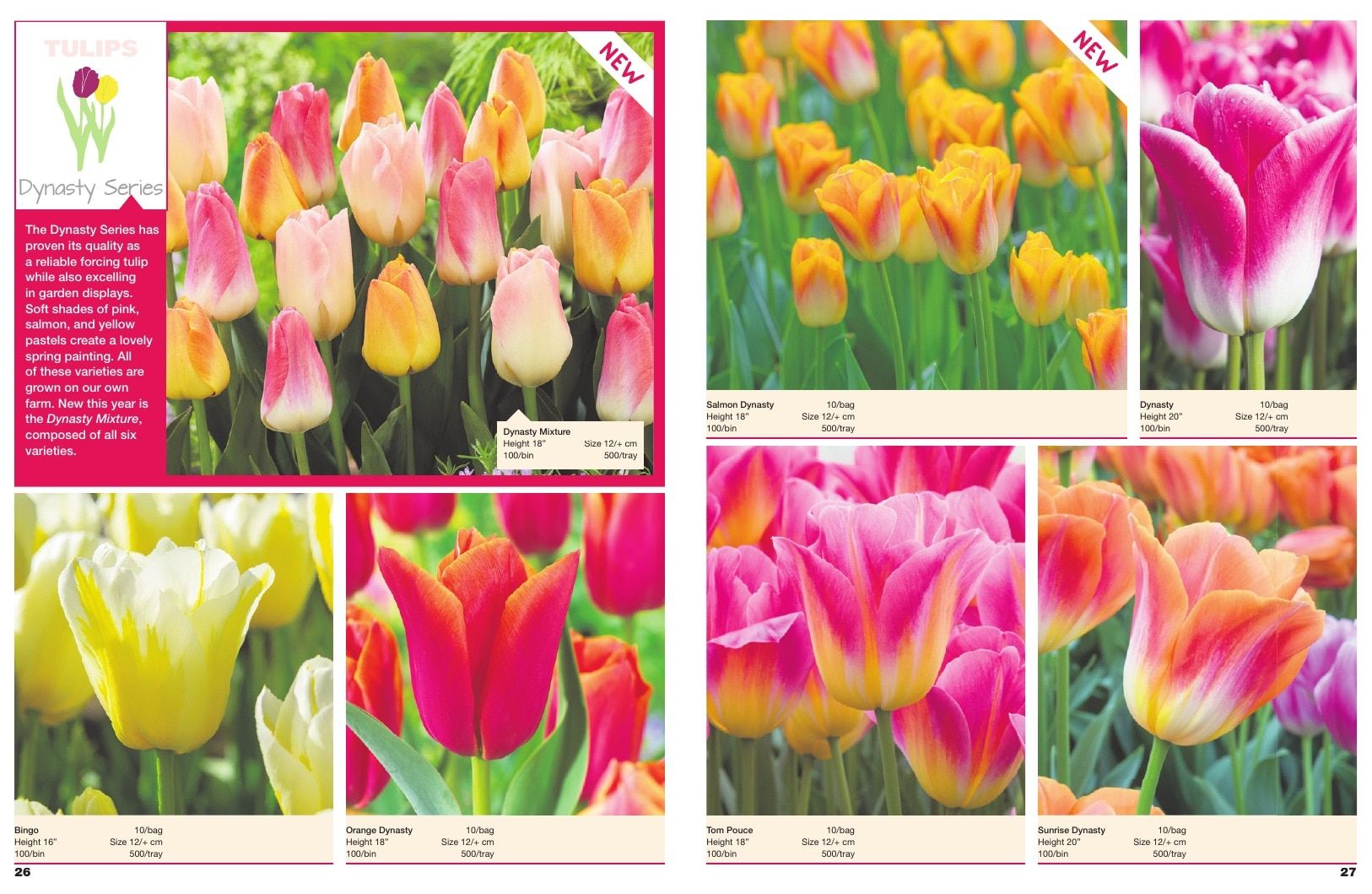 A.D.R. Bulbs Spring Wholesale Bulb Catalog Weekly Ad January 1 - December 31, 2026