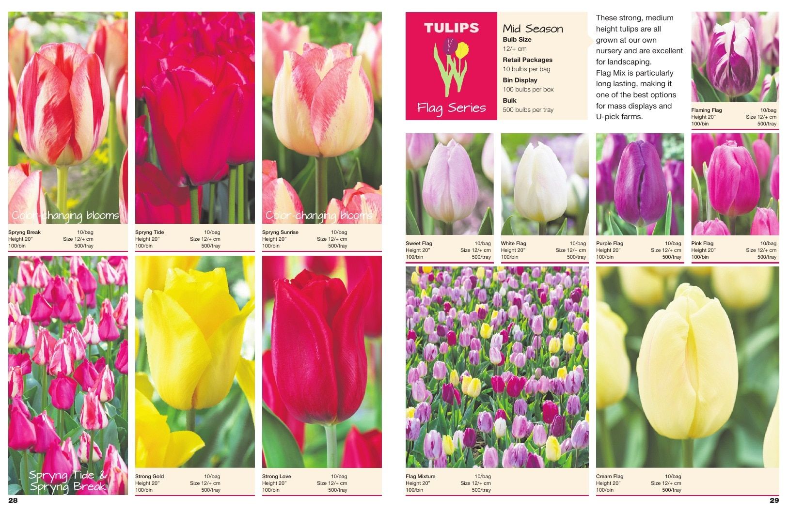 A.D.R. Bulbs Spring Wholesale Bulb Catalog Weekly Ad January 1 - December 31, 2026