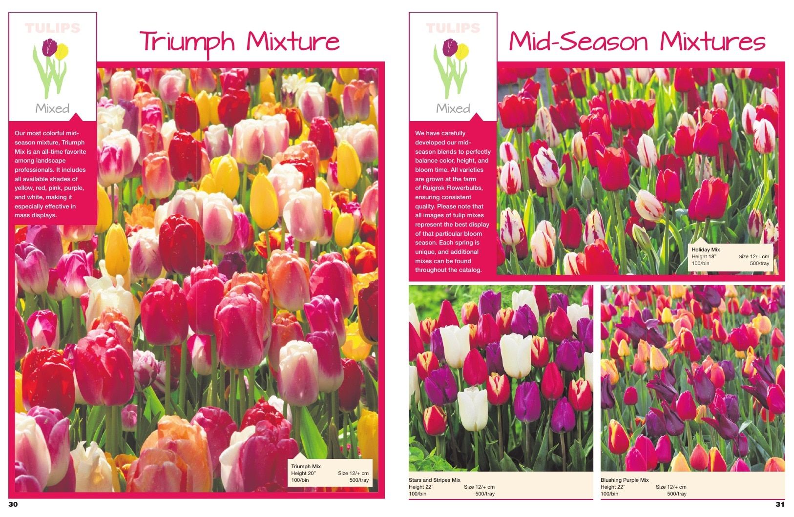 A.D.R. Bulbs Spring Wholesale Bulb Catalog Weekly Ad January 1 - December 31, 2026