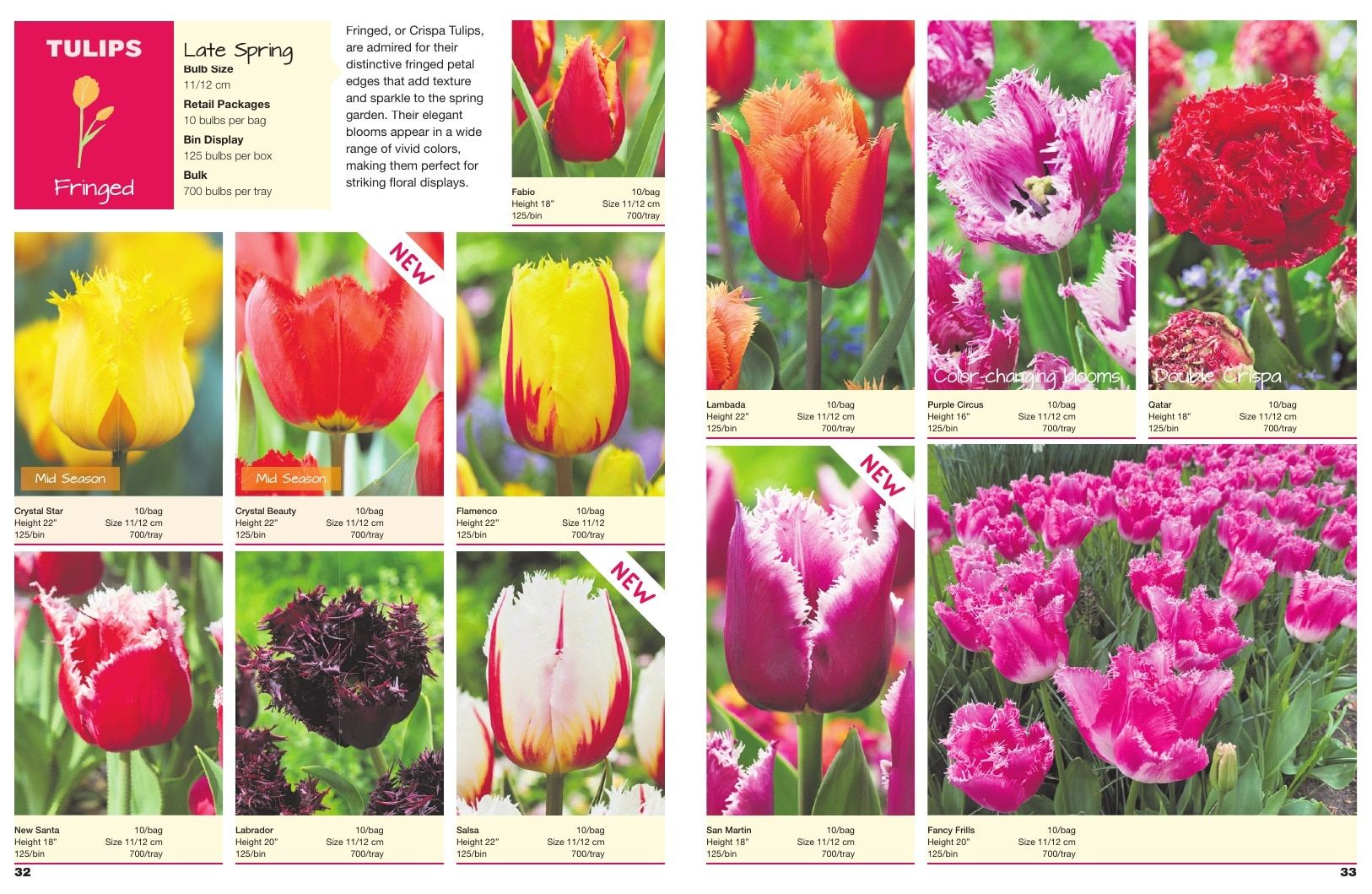 A.D.R. Bulbs Spring Wholesale Bulb Catalog Weekly Ad January 1 - December 31, 2026