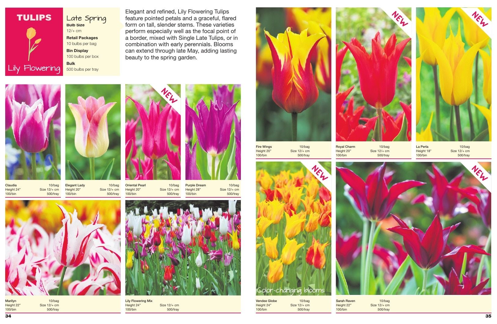 A.D.R. Bulbs Spring Wholesale Bulb Catalog Weekly Ad January 1 - December 31, 2026
