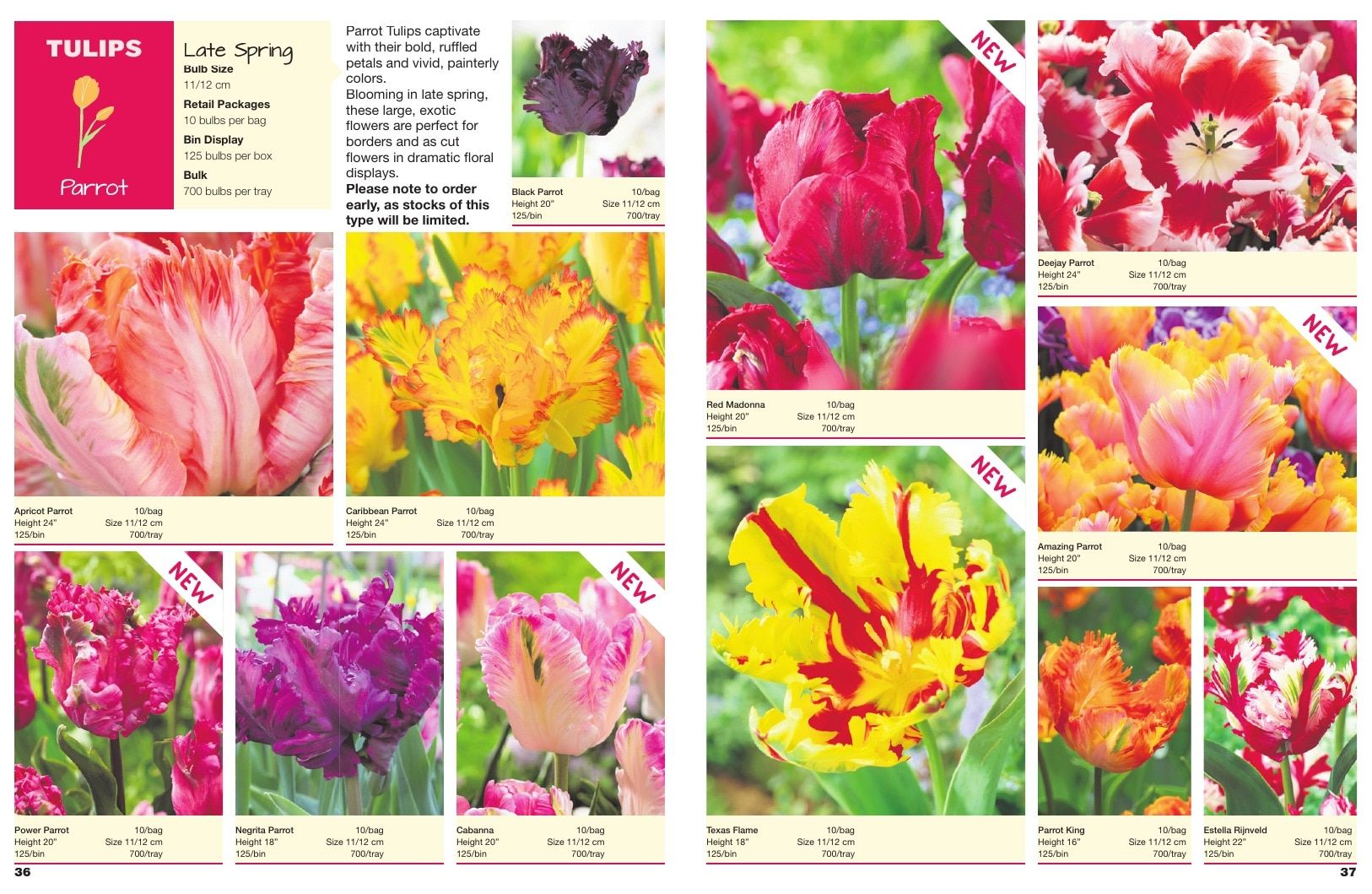 A.D.R. Bulbs Spring Wholesale Bulb Catalog Weekly Ad January 1 - December 31, 2026