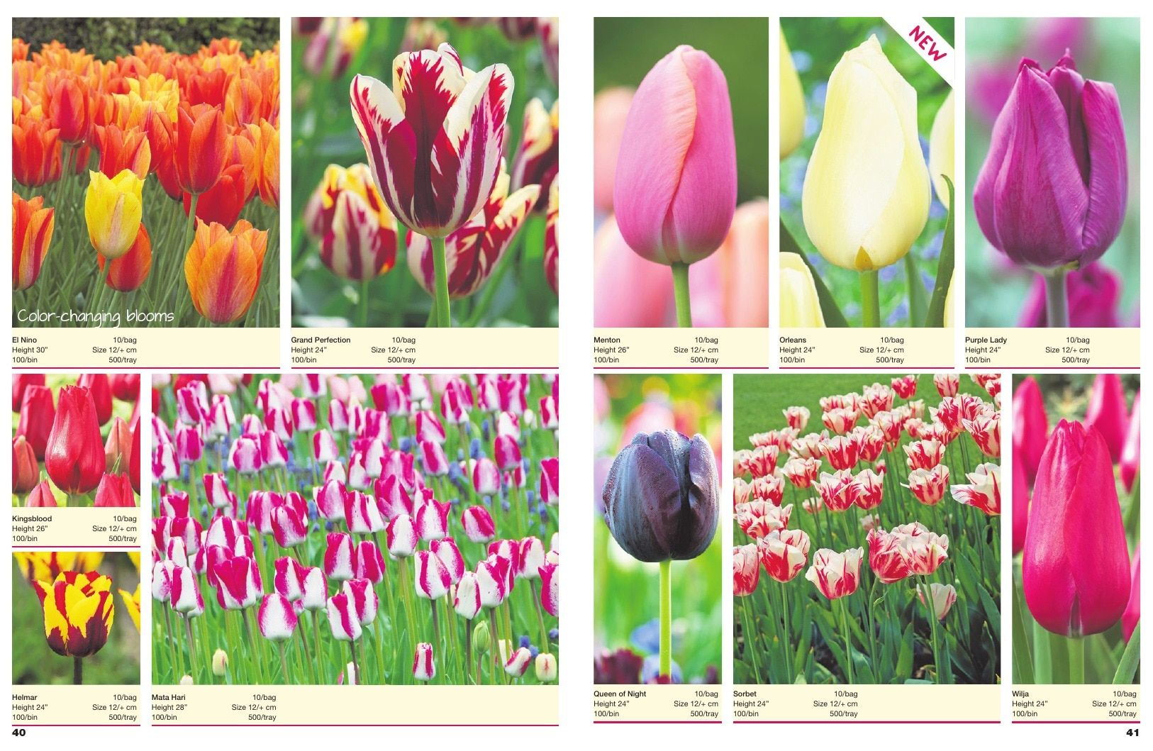 A.D.R. Bulbs Spring Wholesale Bulb Catalog Weekly Ad January 1 - December 31, 2026