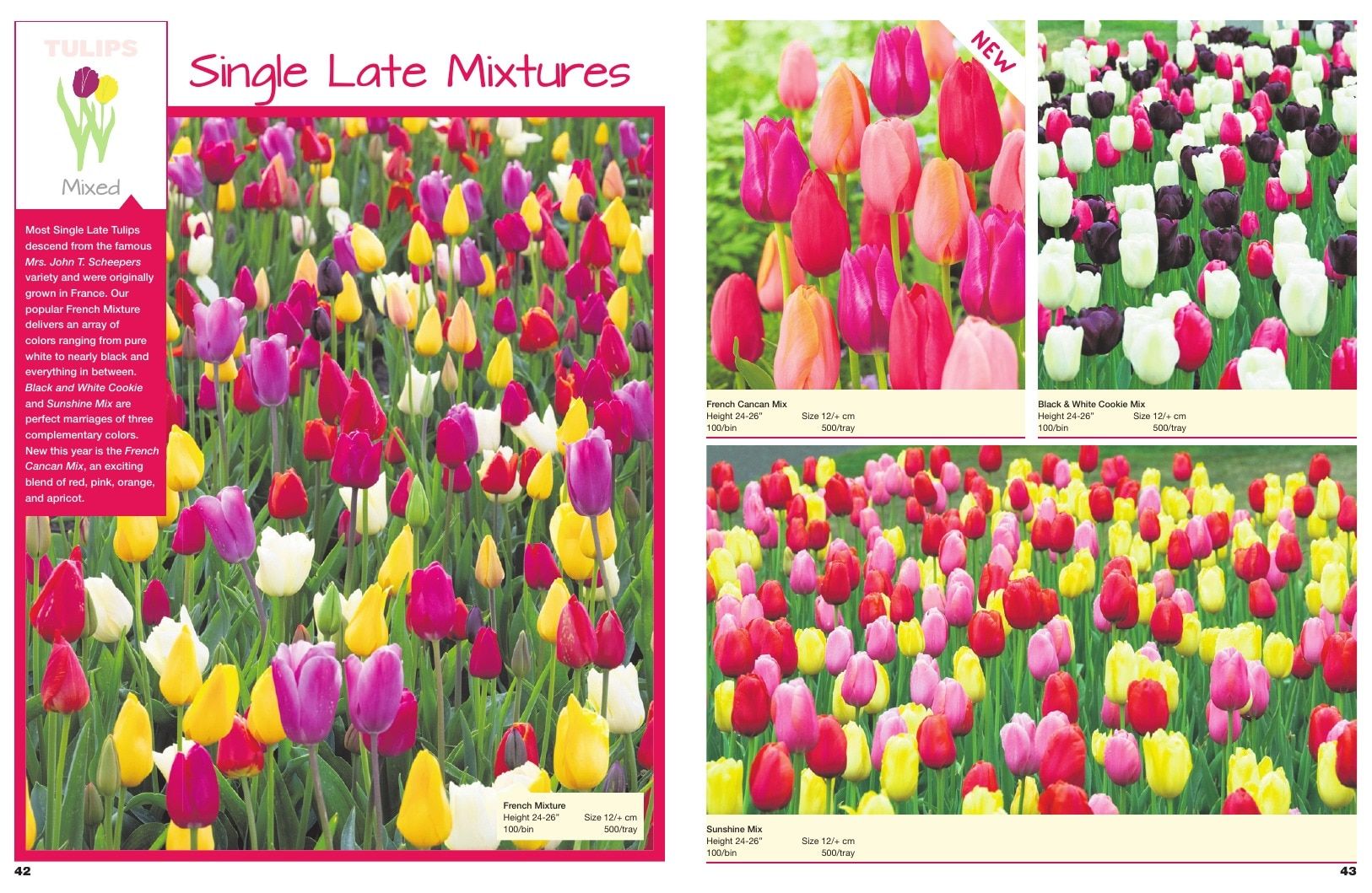 A.D.R. Bulbs Spring Wholesale Bulb Catalog Weekly Ad January 1 - December 31, 2026