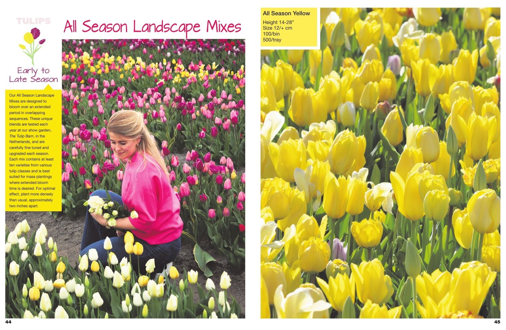 A.D.R. Bulbs Spring Wholesale Bulb Catalog Weekly Ad January 1 - December 31, 2026