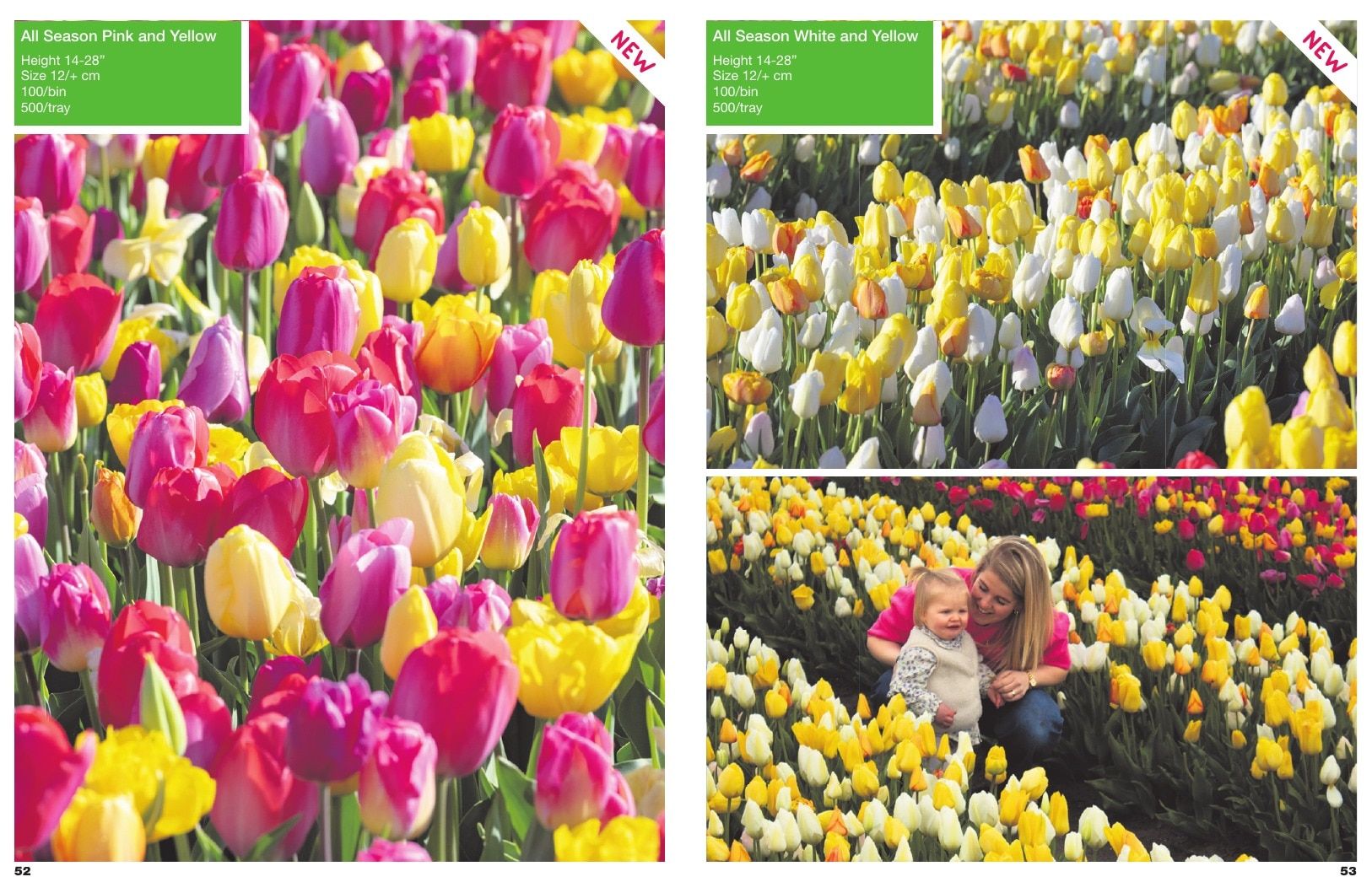 A.D.R. Bulbs Spring Wholesale Bulb Catalog Weekly Ad January 1 - December 31, 2026