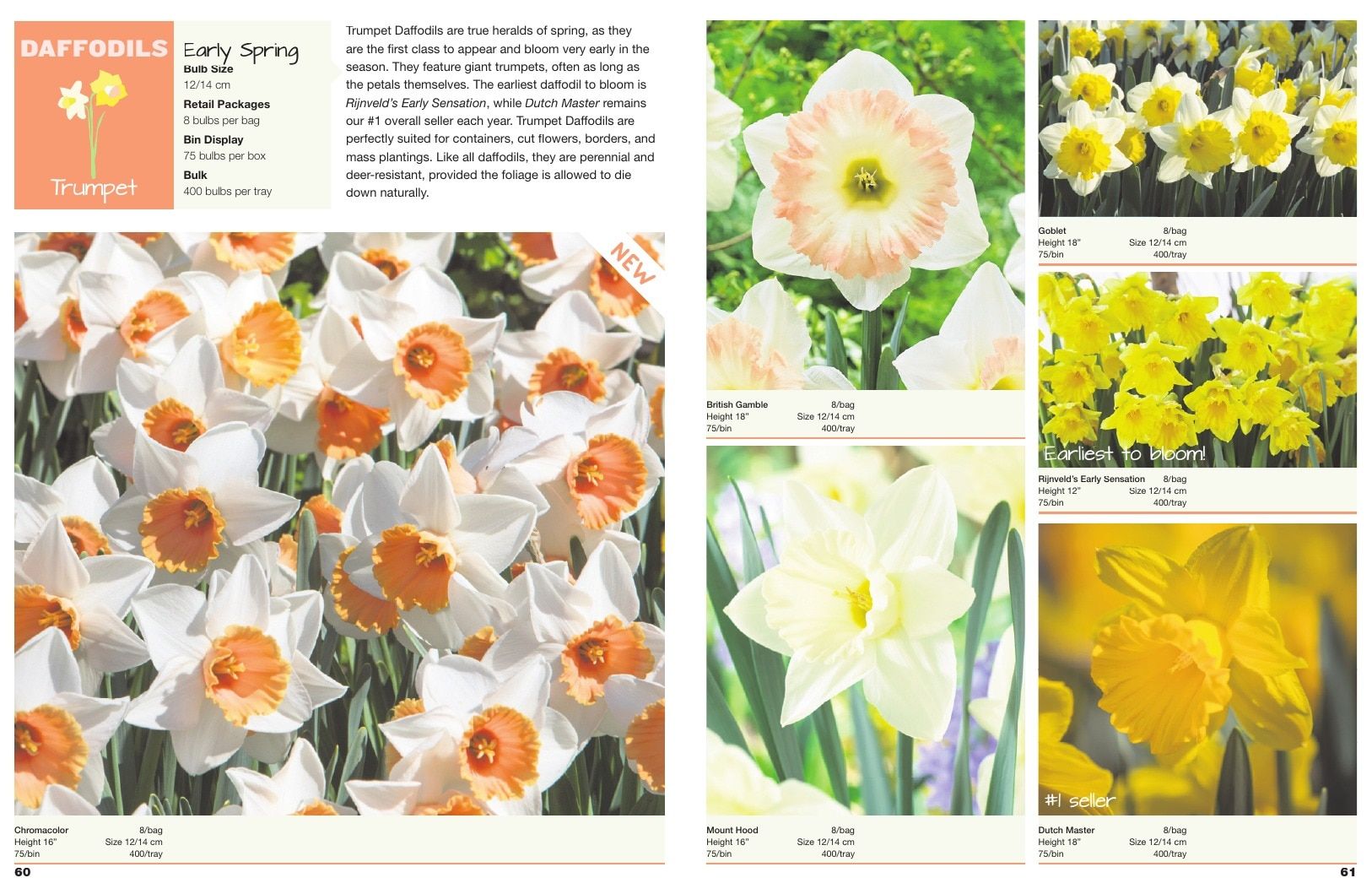 A.D.R. Bulbs Spring Wholesale Bulb Catalog Weekly Ad January 1 - December 31, 2026