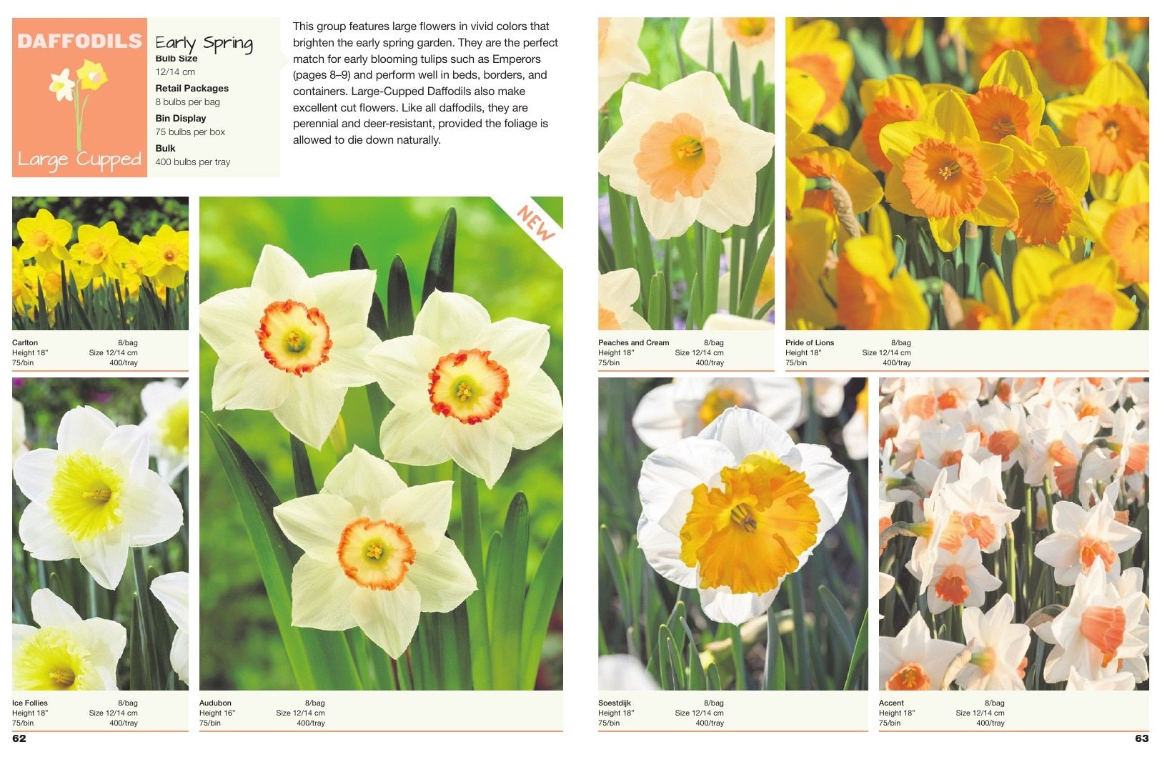 A.D.R. Bulbs Spring Wholesale Bulb Catalog Weekly Ad January 1 - December 31, 2026
