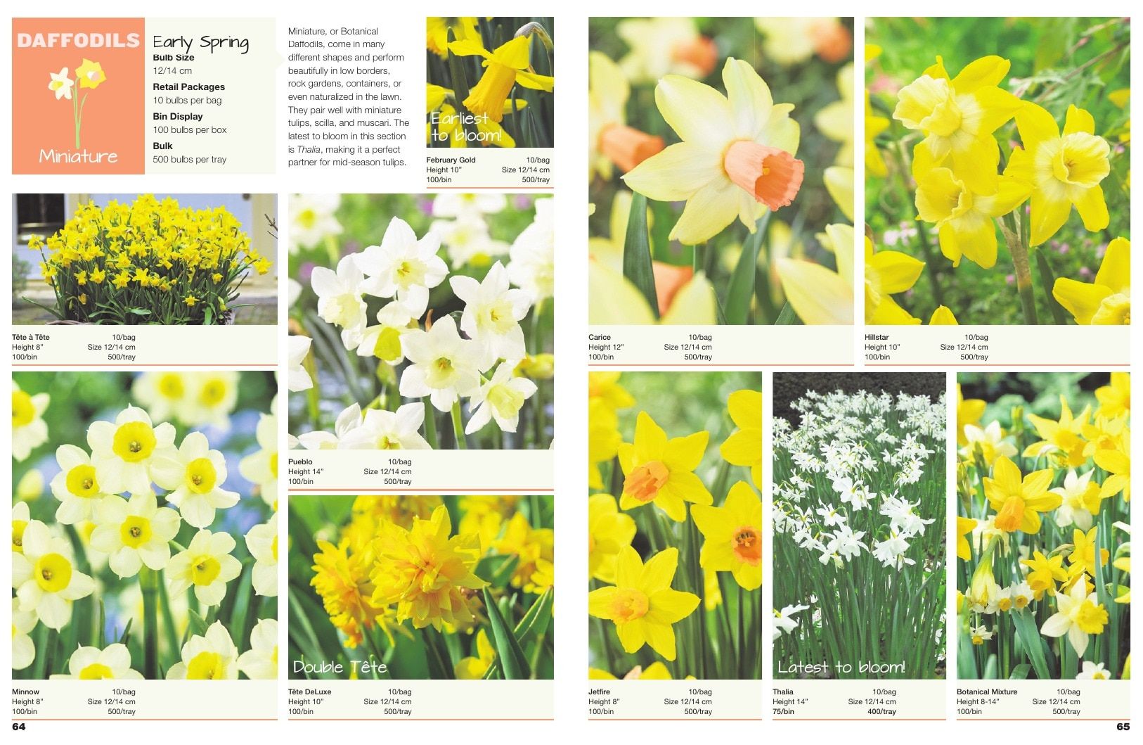 A.D.R. Bulbs Spring Wholesale Bulb Catalog Weekly Ad January 1 - December 31, 2026