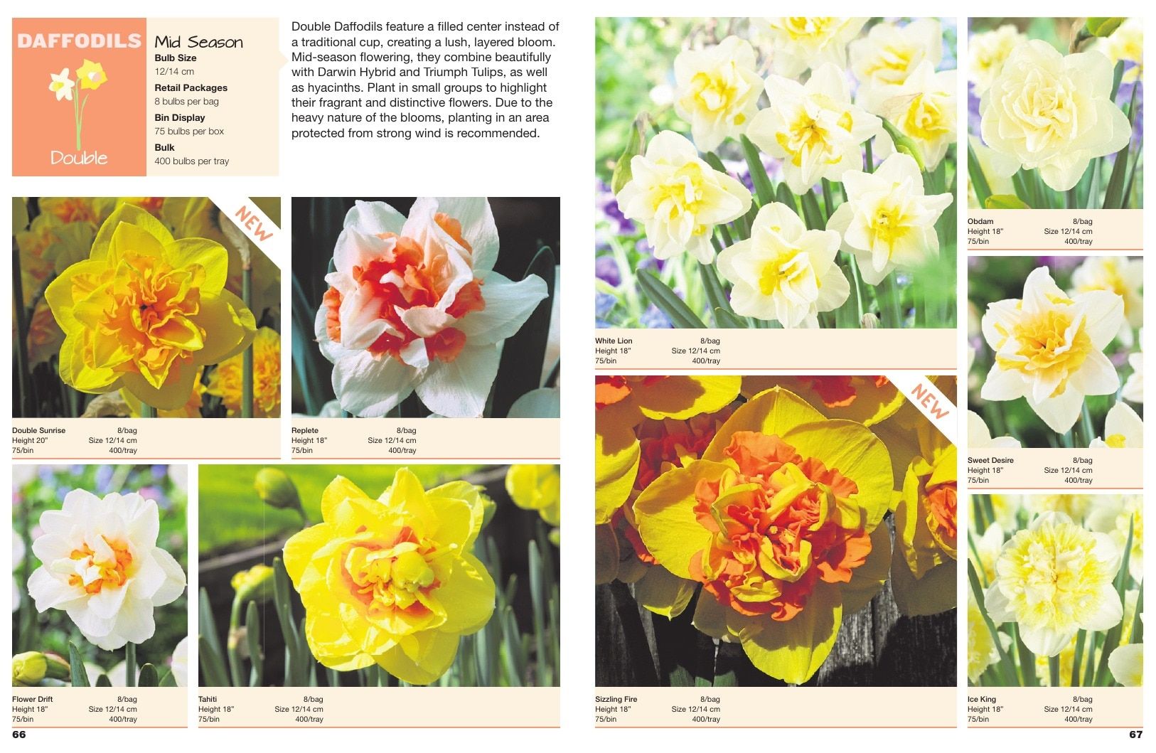 A.D.R. Bulbs Spring Wholesale Bulb Catalog Weekly Ad January 1 - December 31, 2026
