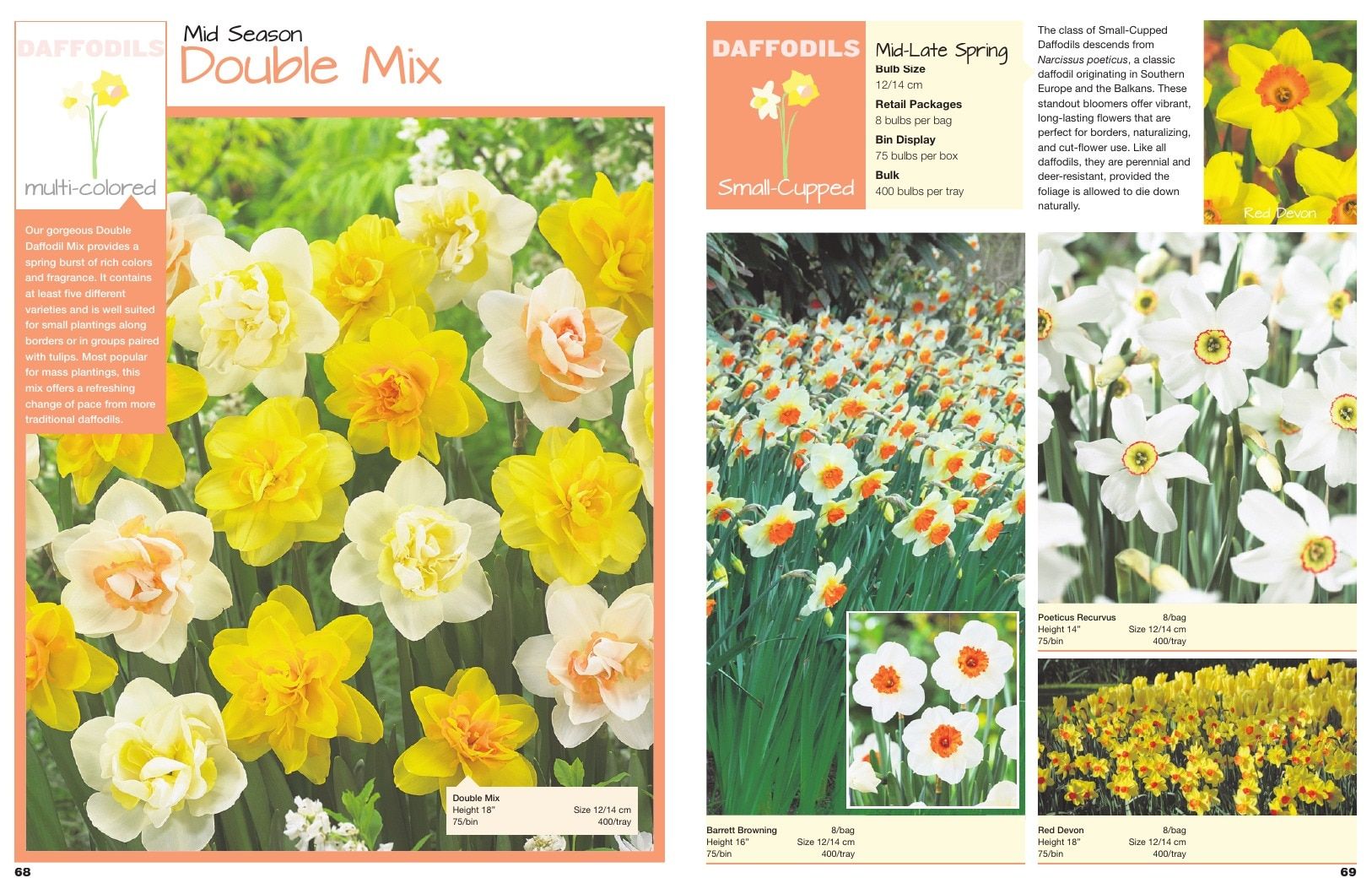 A.D.R. Bulbs Spring Wholesale Bulb Catalog Weekly Ad January 1 - December 31, 2026