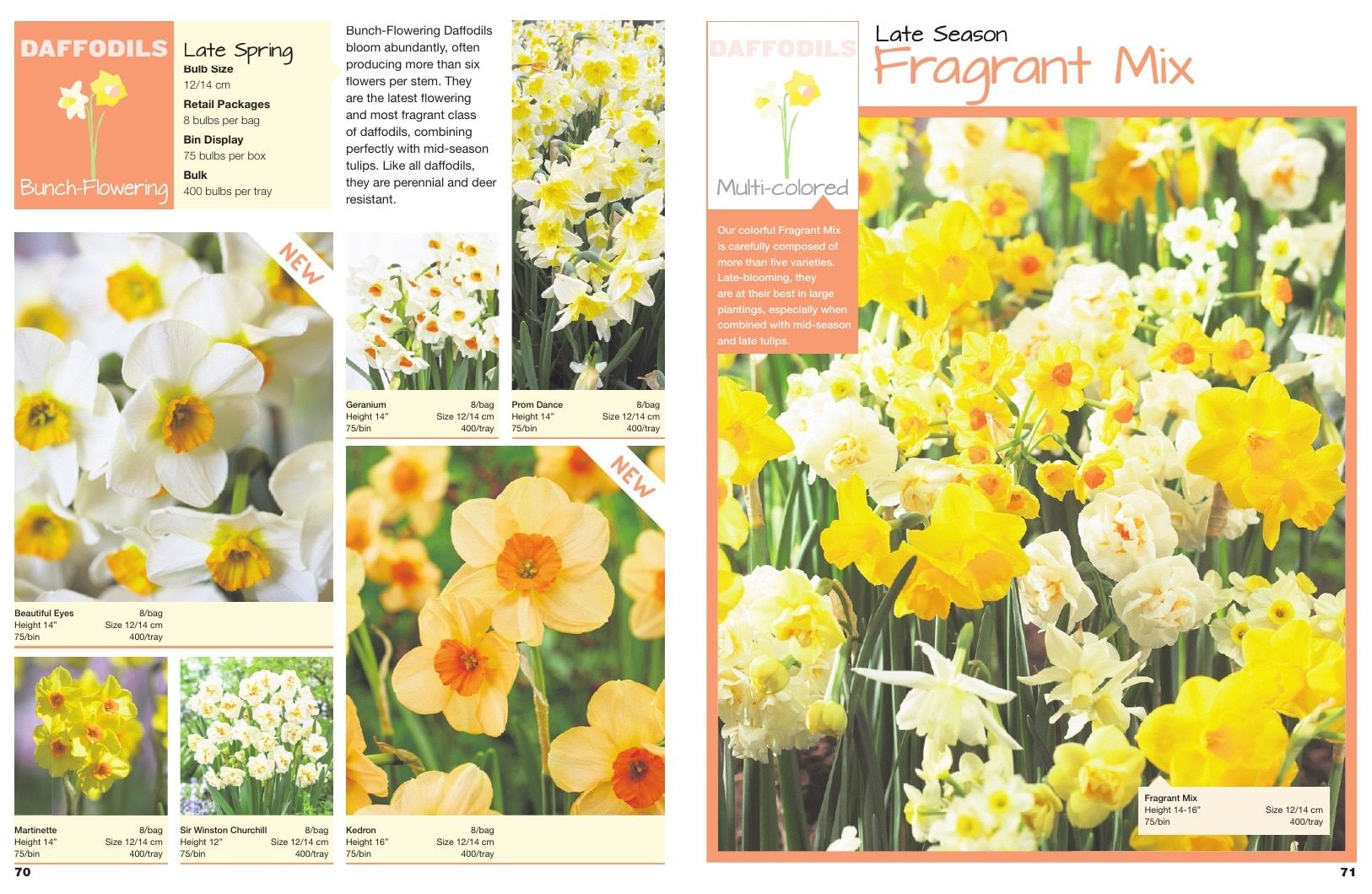 A.D.R. Bulbs Spring Wholesale Bulb Catalog Weekly Ad January 1 - December 31, 2026