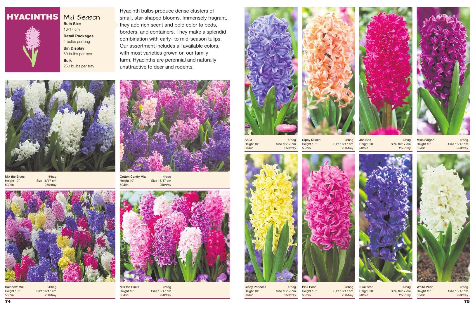 A.D.R. Bulbs Spring Wholesale Bulb Catalog Weekly Ad January 1 - December 31, 2026