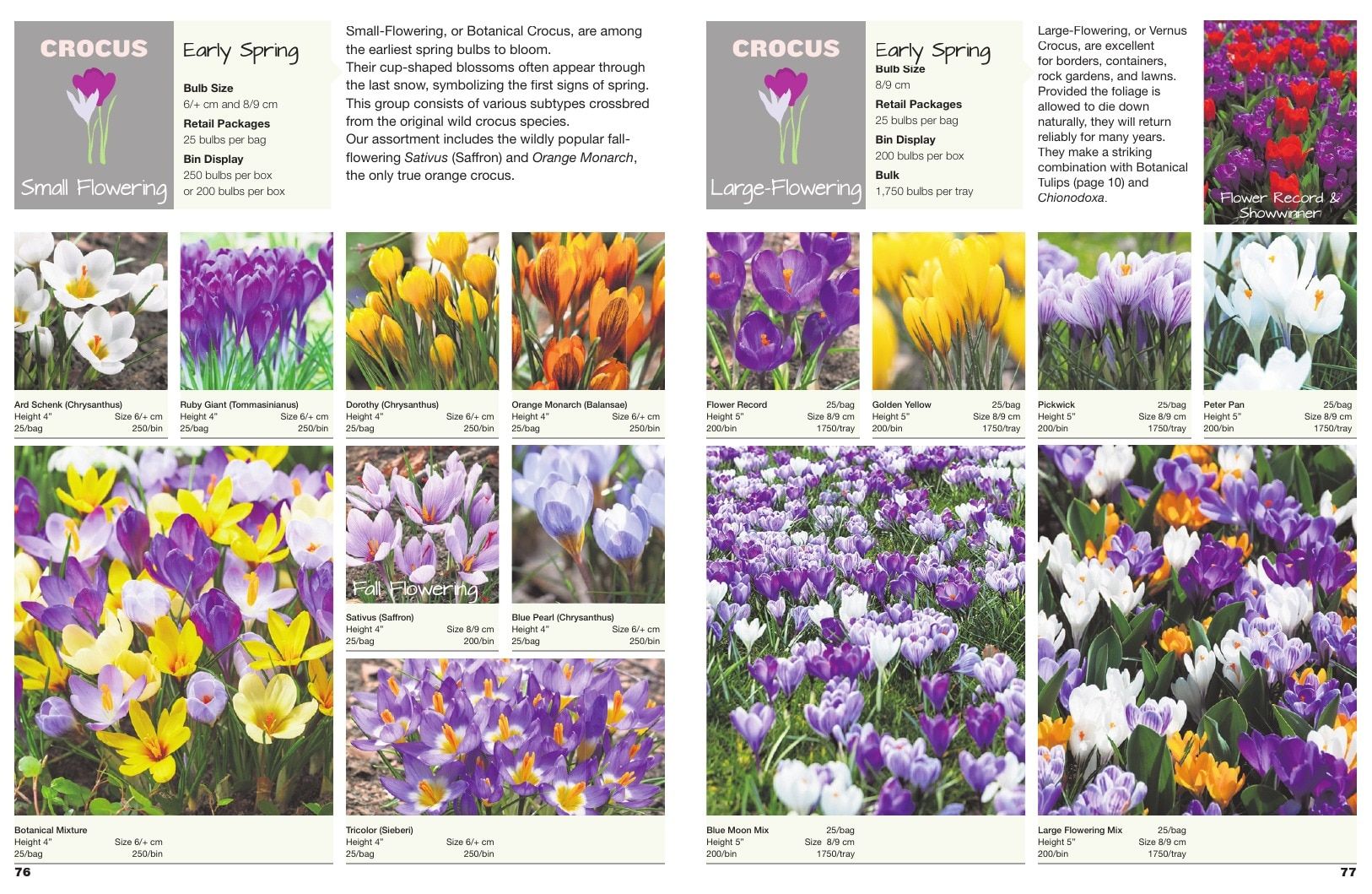 A.D.R. Bulbs Spring Wholesale Bulb Catalog Weekly Ad January 1 - December 31, 2026