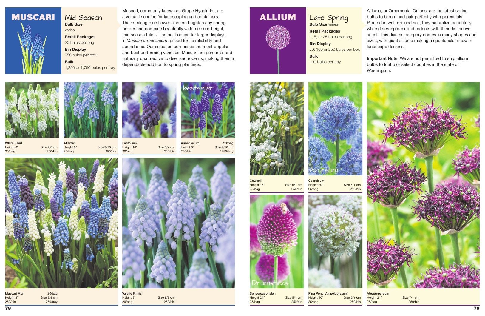 A.D.R. Bulbs Spring Wholesale Bulb Catalog Weekly Ad January 1 - December 31, 2026