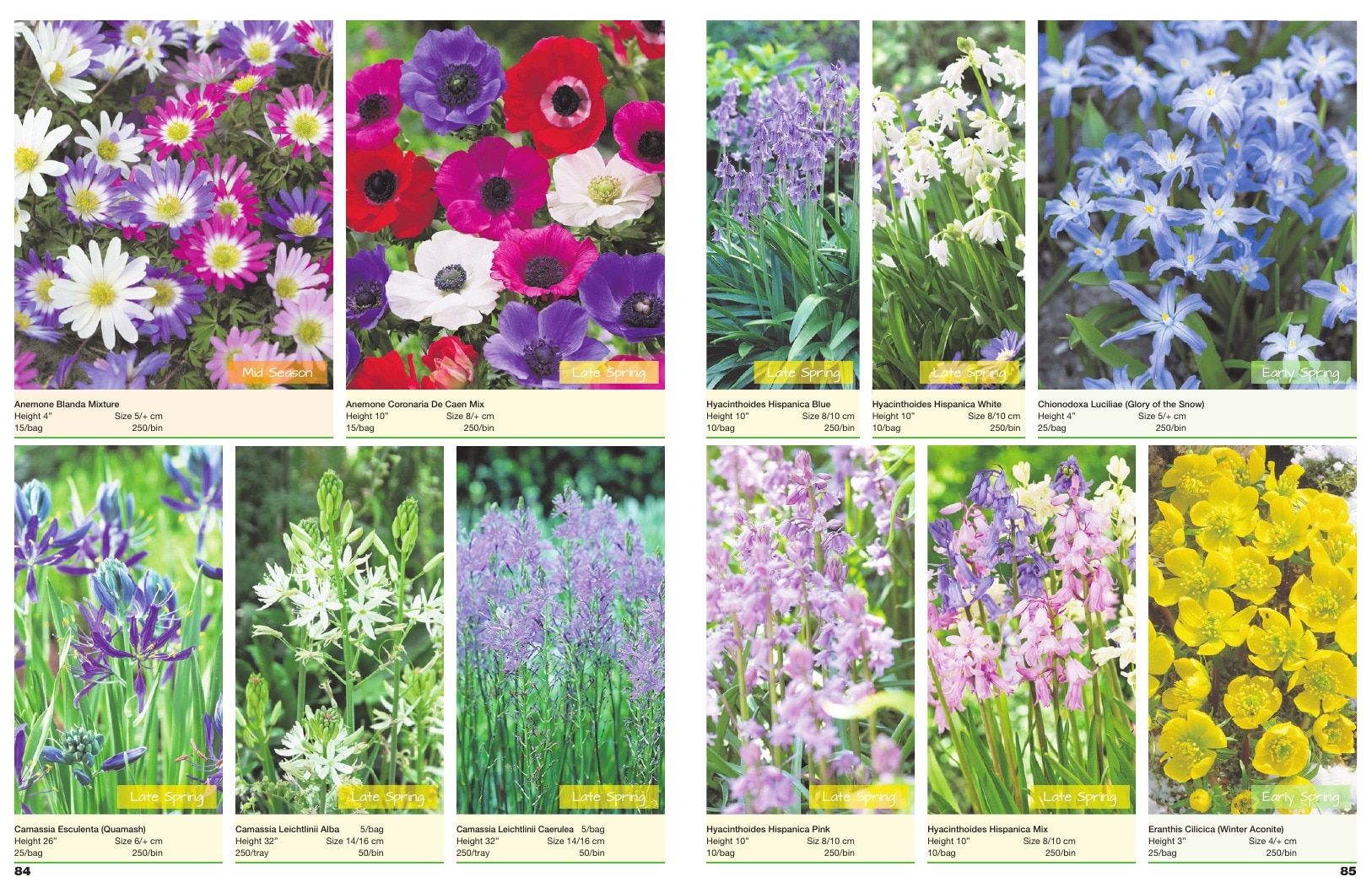 A.D.R. Bulbs Spring Wholesale Bulb Catalog Weekly Ad January 1 - December 31, 2026