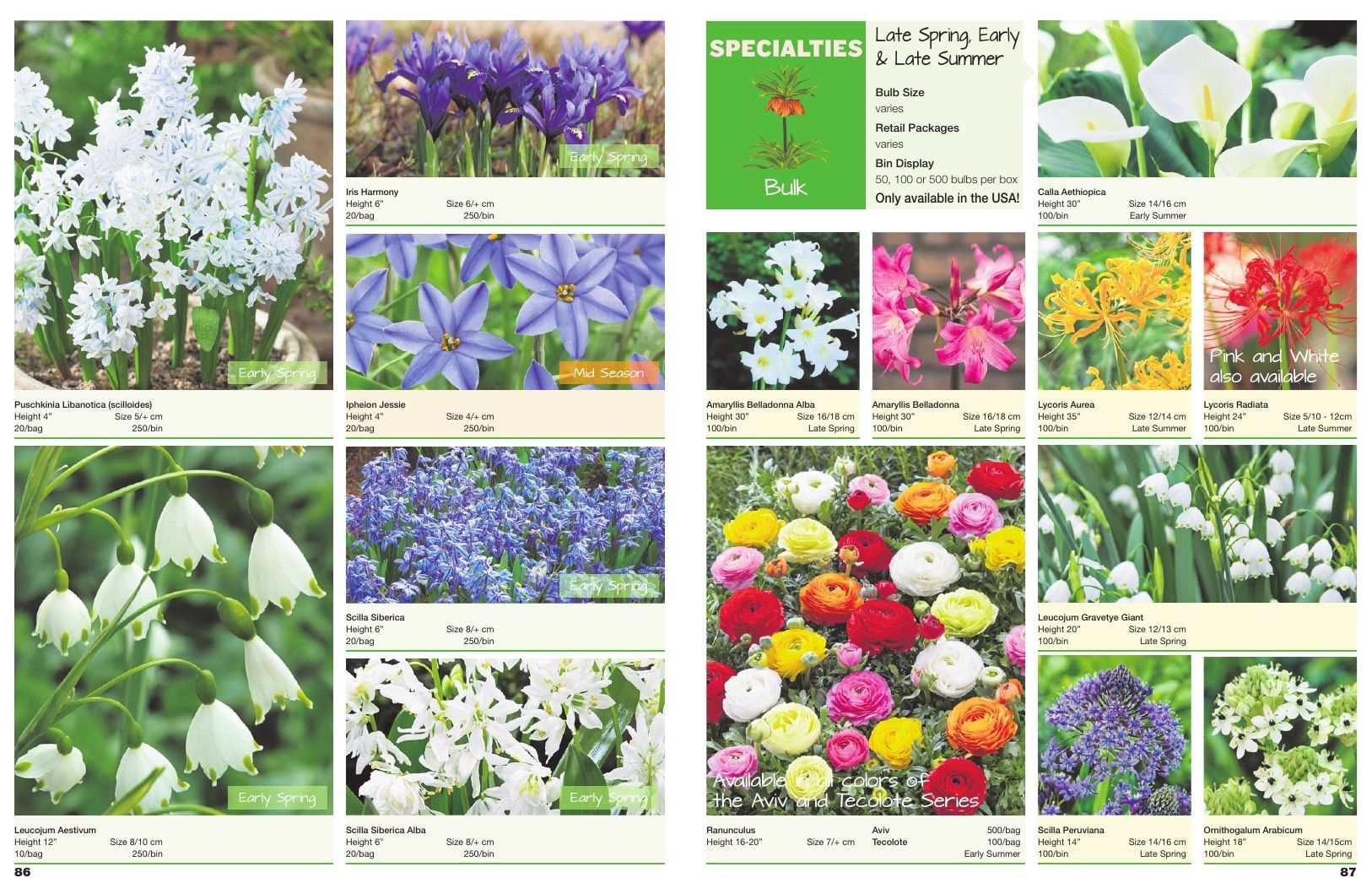 A.D.R. Bulbs Spring Wholesale Bulb Catalog Weekly Ad January 1 - December 31, 2026