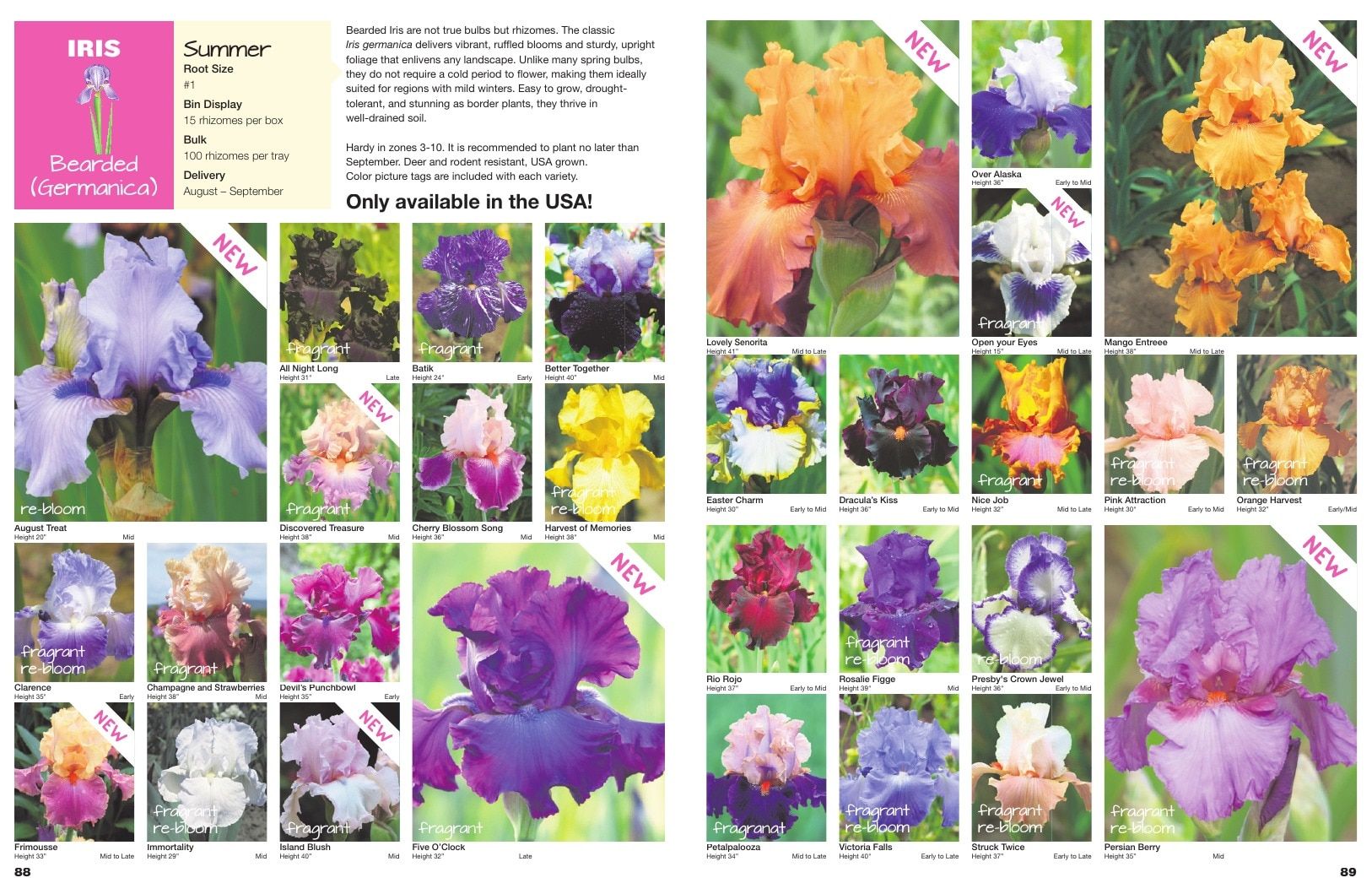 A.D.R. Bulbs Spring Wholesale Bulb Catalog Weekly Ad January 1 - December 31, 2026