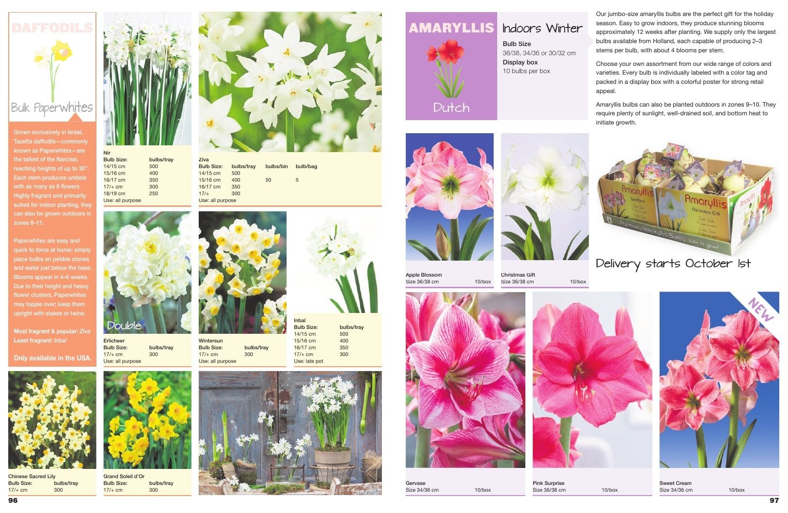 A.D.R. Bulbs Spring Wholesale Bulb Catalog Weekly Ad January 1 - December 31, 2026