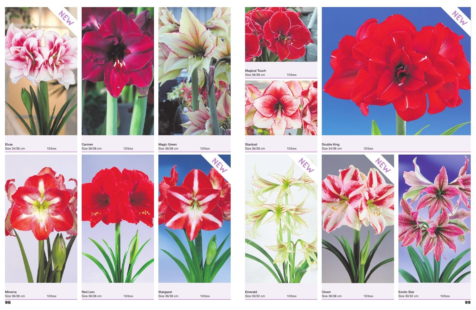 A.D.R. Bulbs Spring Wholesale Bulb Catalog Weekly Ad January 1 - December 31, 2026