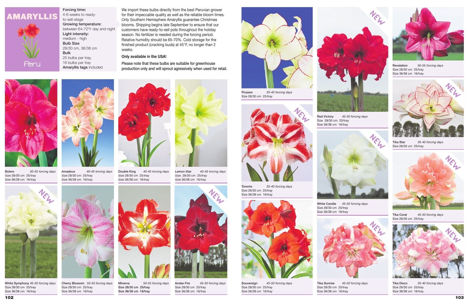 A.D.R. Bulbs Spring Wholesale Bulb Catalog Weekly Ad January 1 - December 31, 2026