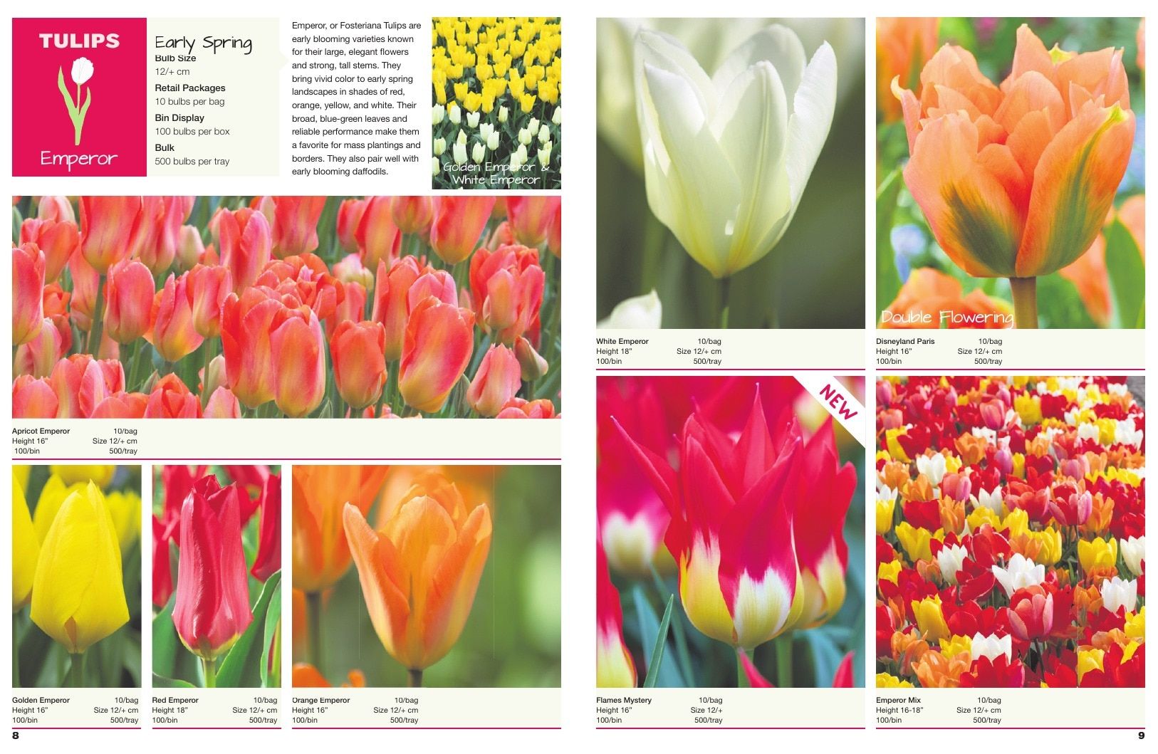 A.D.R. Bulbs Spring Wholesale Bulb Catalog Weekly Ad January 1 - December 31, 2026