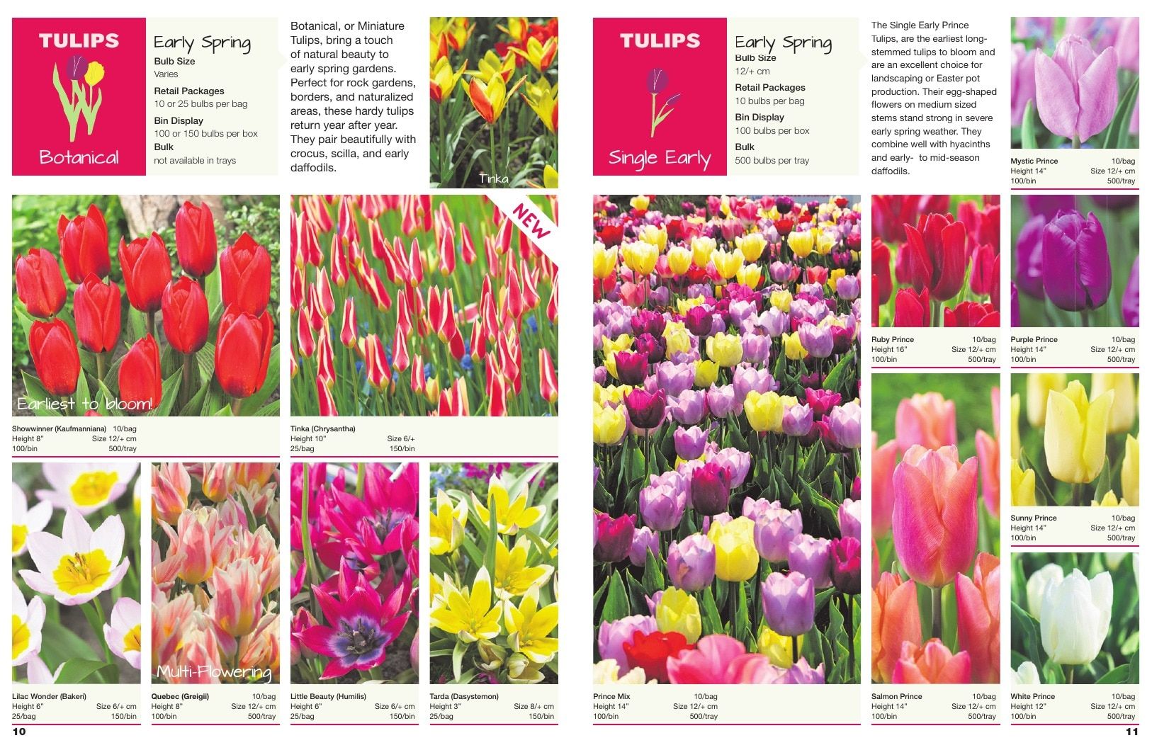 A.D.R. Bulbs Spring Wholesale Bulb Catalog Weekly Ad January 1 - December 31, 2026