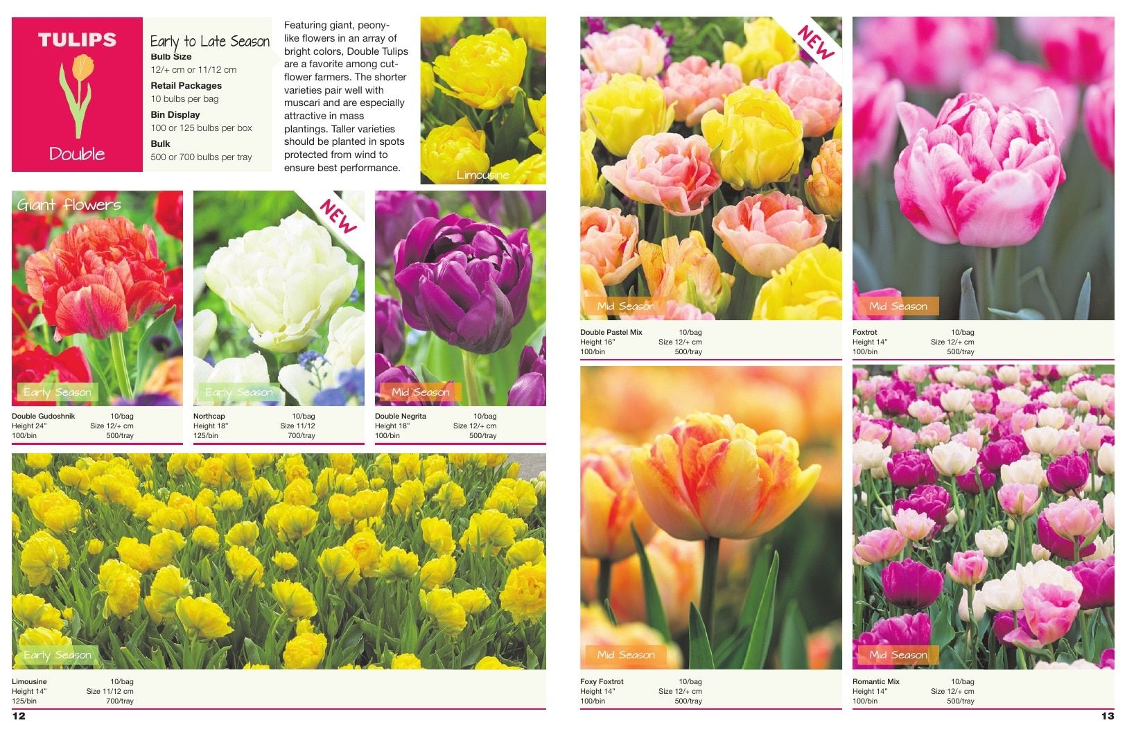 A.D.R. Bulbs Spring Wholesale Bulb Catalog Weekly Ad January 1 - December 31, 2026