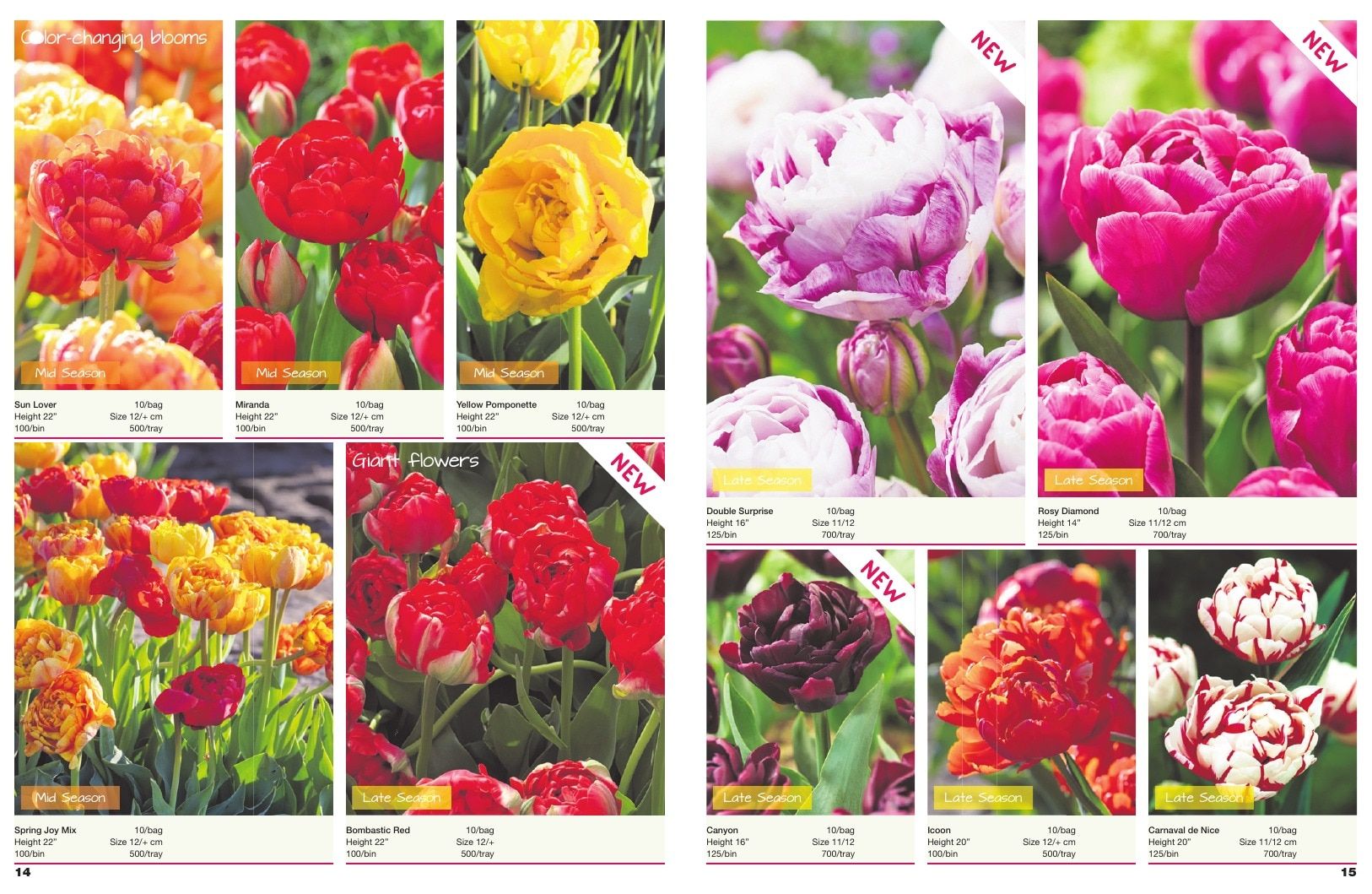 A.D.R. Bulbs Spring Wholesale Bulb Catalog Weekly Ad January 1 - December 31, 2026