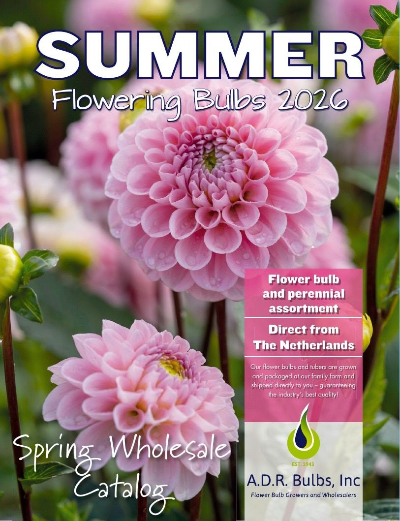 A.D.R. Bulbs Summer Flowering Bulbs Catalog Weekly Ad January 1 - December 31, 2026