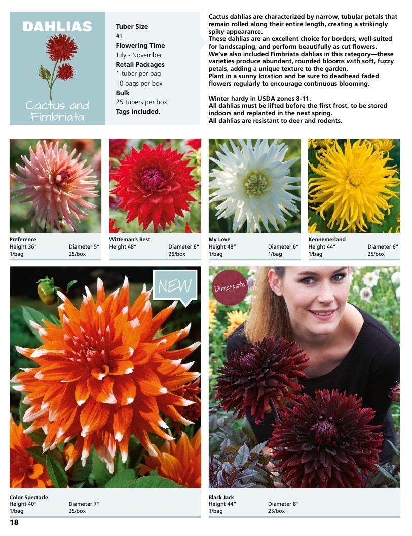A.D.R. Bulbs Summer Flowering Bulbs Catalog Weekly Ad January 1 - December 31, 2026