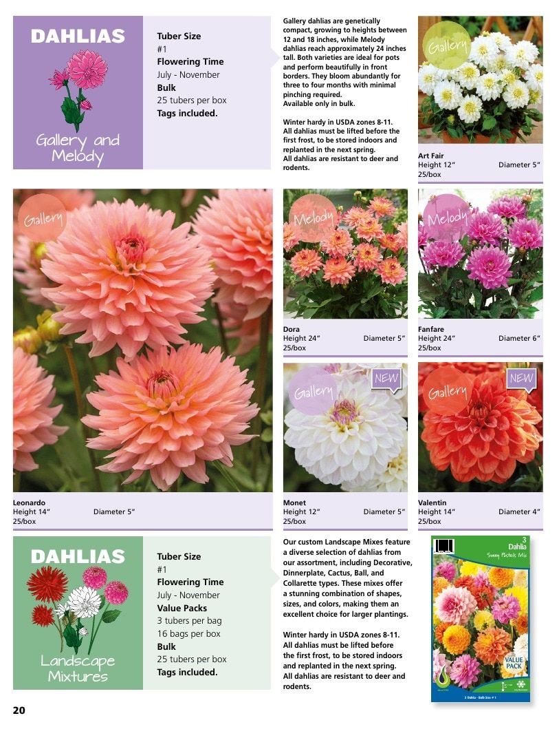 A.D.R. Bulbs Summer Flowering Bulbs Catalog Weekly Ad January 1 - December 31, 2026