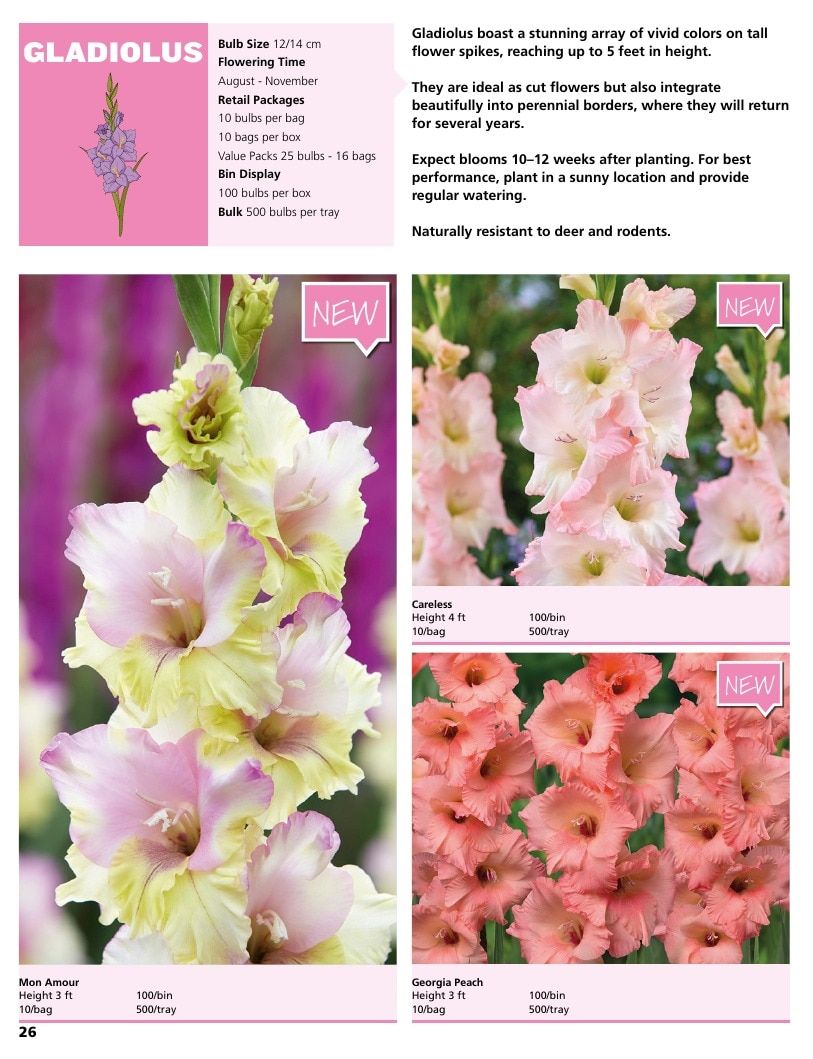 A.D.R. Bulbs Summer Flowering Bulbs Catalog Weekly Ad January 1 - December 31, 2026